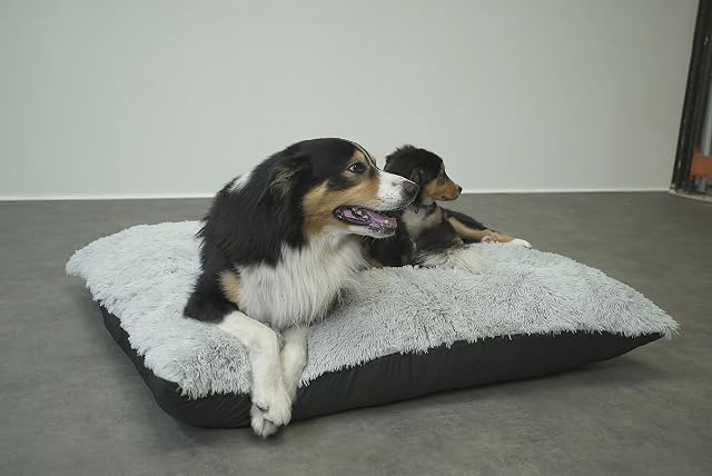 Foto 7 de 8 de bananair - Cama para Perro de Piel Sintética, Suave y Agradable - Relleno de Espuma, Muy Cómodo