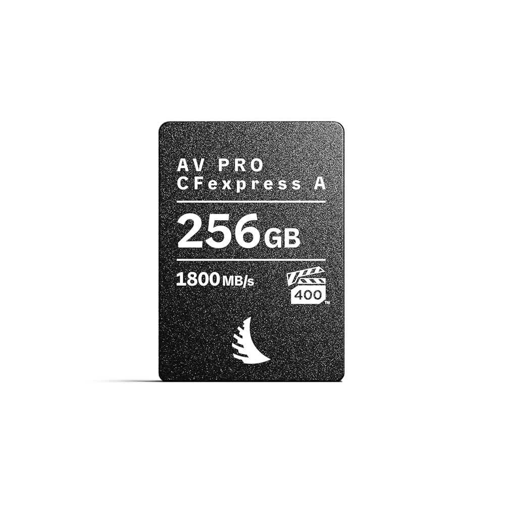 Amazon.com: Angelbird AV PRO CFexpress A v4 256 GB