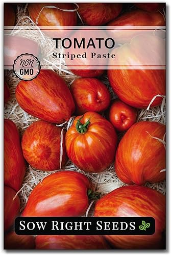 Sow Right Seeds - Pasta de semillas de tomate a rayas para plantar - Paquete de reliquia sin OMG con instrucciones para plantar un huerto casero