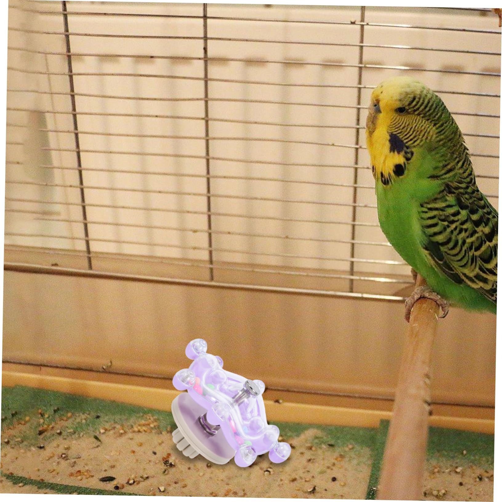 BESPORTBLE 5pièces Bird Swivel Wheel Toy Jouet Interactif Rotatif pour Oiseaux Jouet à Mâcher Et Exercice pour Perroquets Et Perruches pour Vos Petits Compagnons