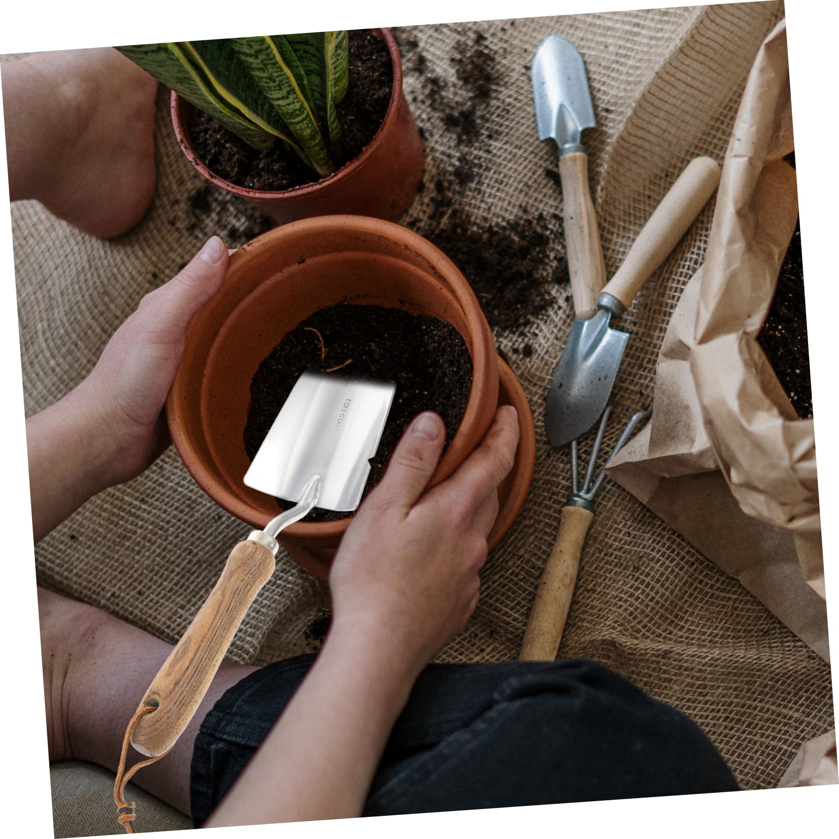 TOYANDONA 2 Pezzi Pala da giardinaggio strumento di diserbo attrezzo piantare strumenti da giardinaggio Piccola cazzuola cazzuole da giardinaggio Acciaio inossidabile
