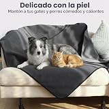 Ver la foto 6