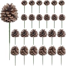 24 Pieces Christmas Pine Cones Decorations, Various Sizes Natural Pine Cones with Wired Picks for Christmas Tree Ornament, Garland, Wreath, Home Decor