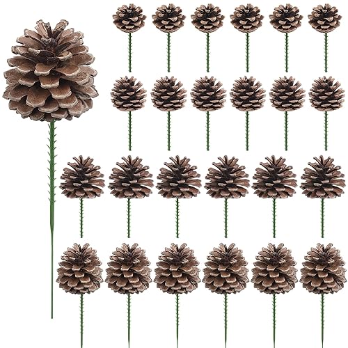 24 Pieces Christmas Pine Cones Decorations, Various Sizes Natural Pine