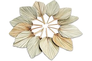 AVLA 12 Pack Real Palm Leaves