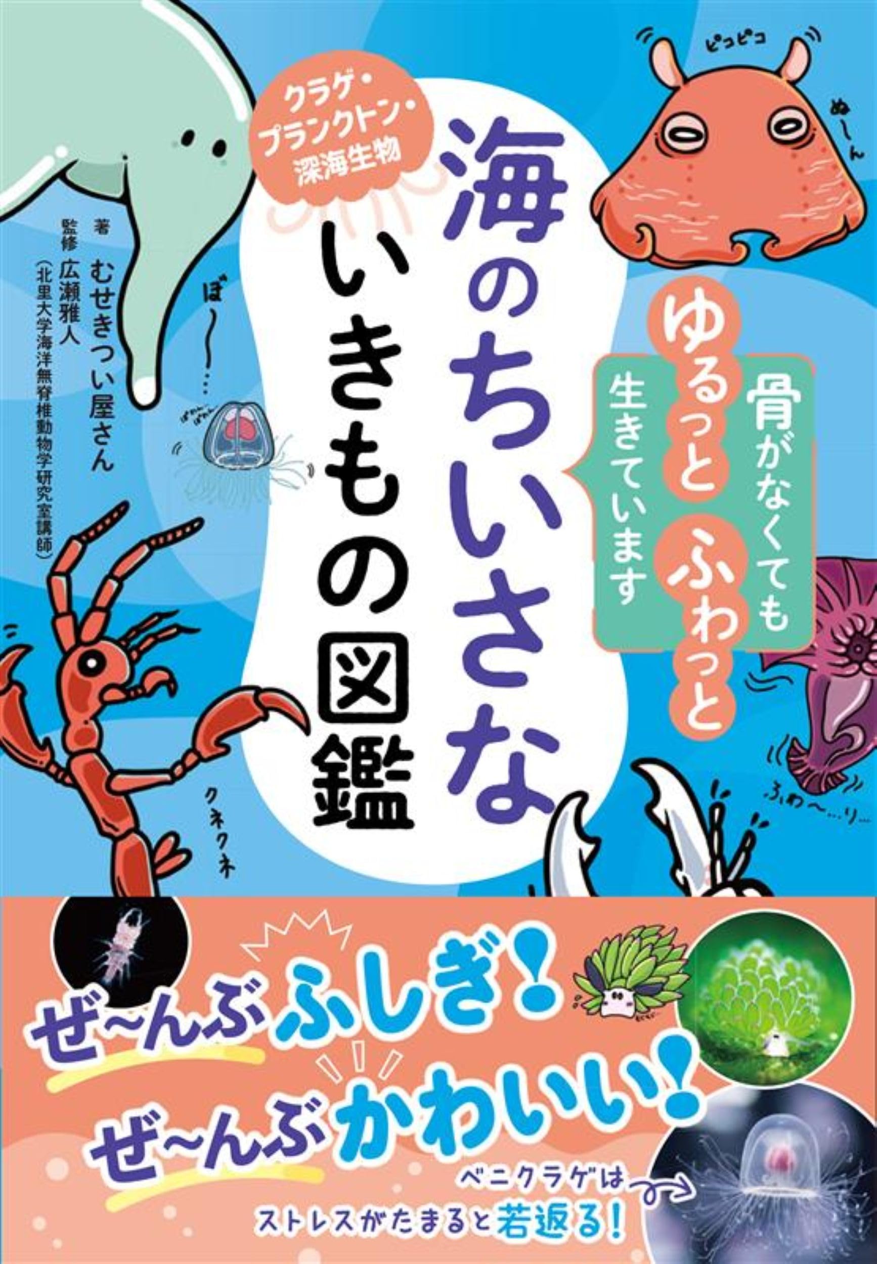 海のちいさないきもの図鑑 | むせきつい屋さん |本 | 通販 | Amazon