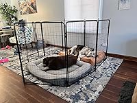 Review Image by Massiel Orellana Massiel Orellana