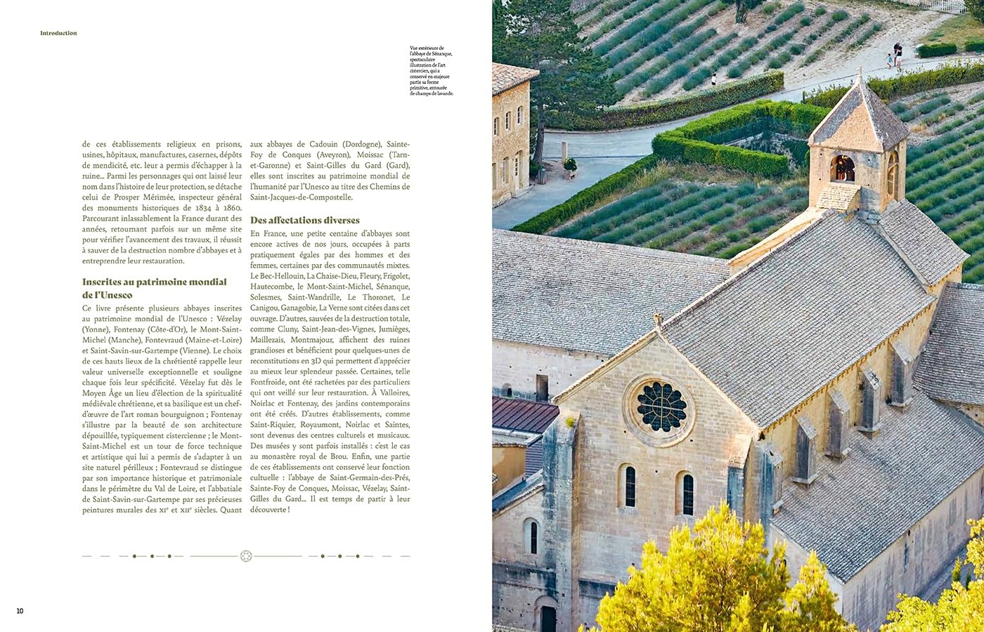 Au coeur des abbayes: Histoire et secrets des plus beaux monastères de France