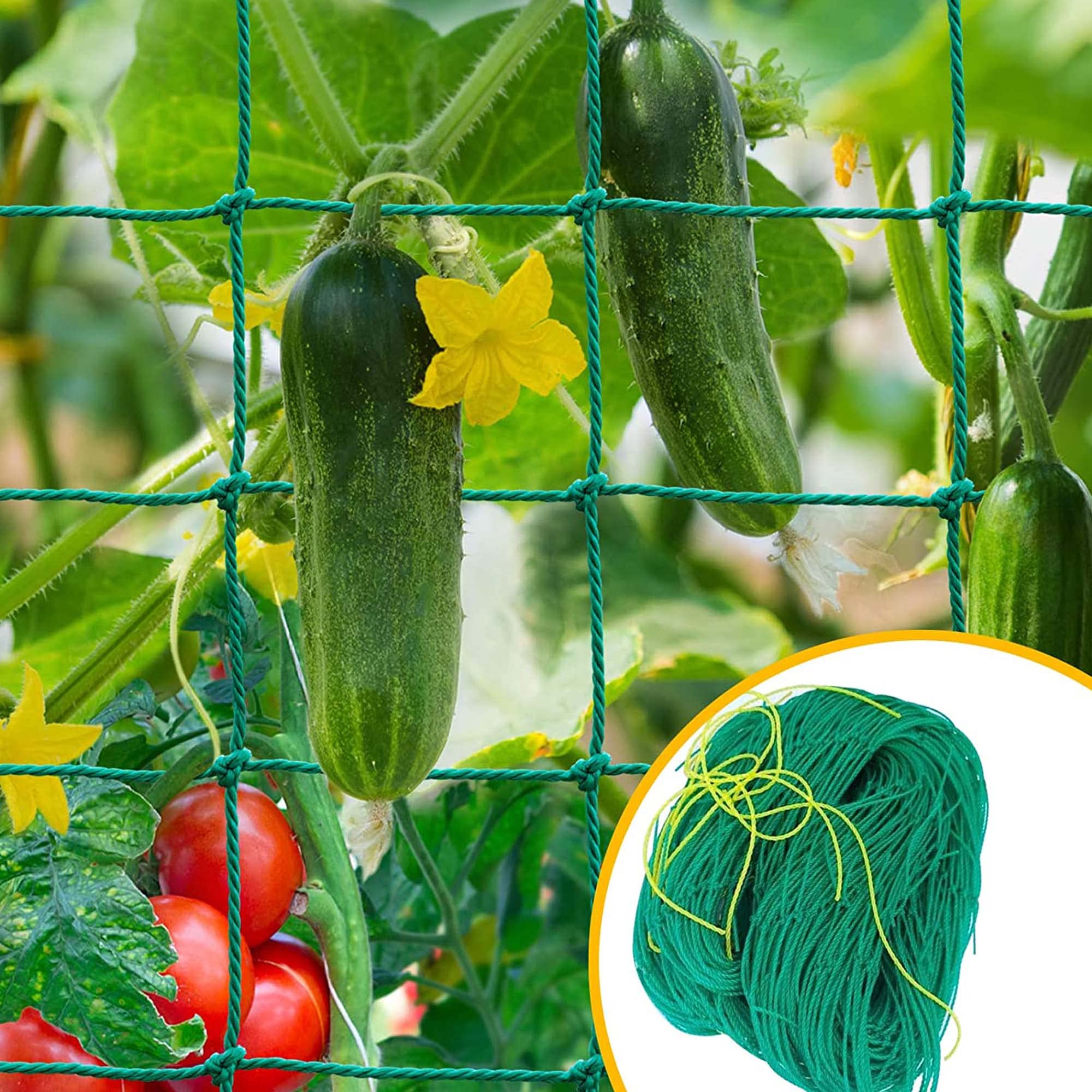 Plant Climbing Net & Creeper Support for Agriculture and Gardening Netting 10Feet X 5Feet (B085WZ5RSS) Amazon Price History, Amazon Price Tracker