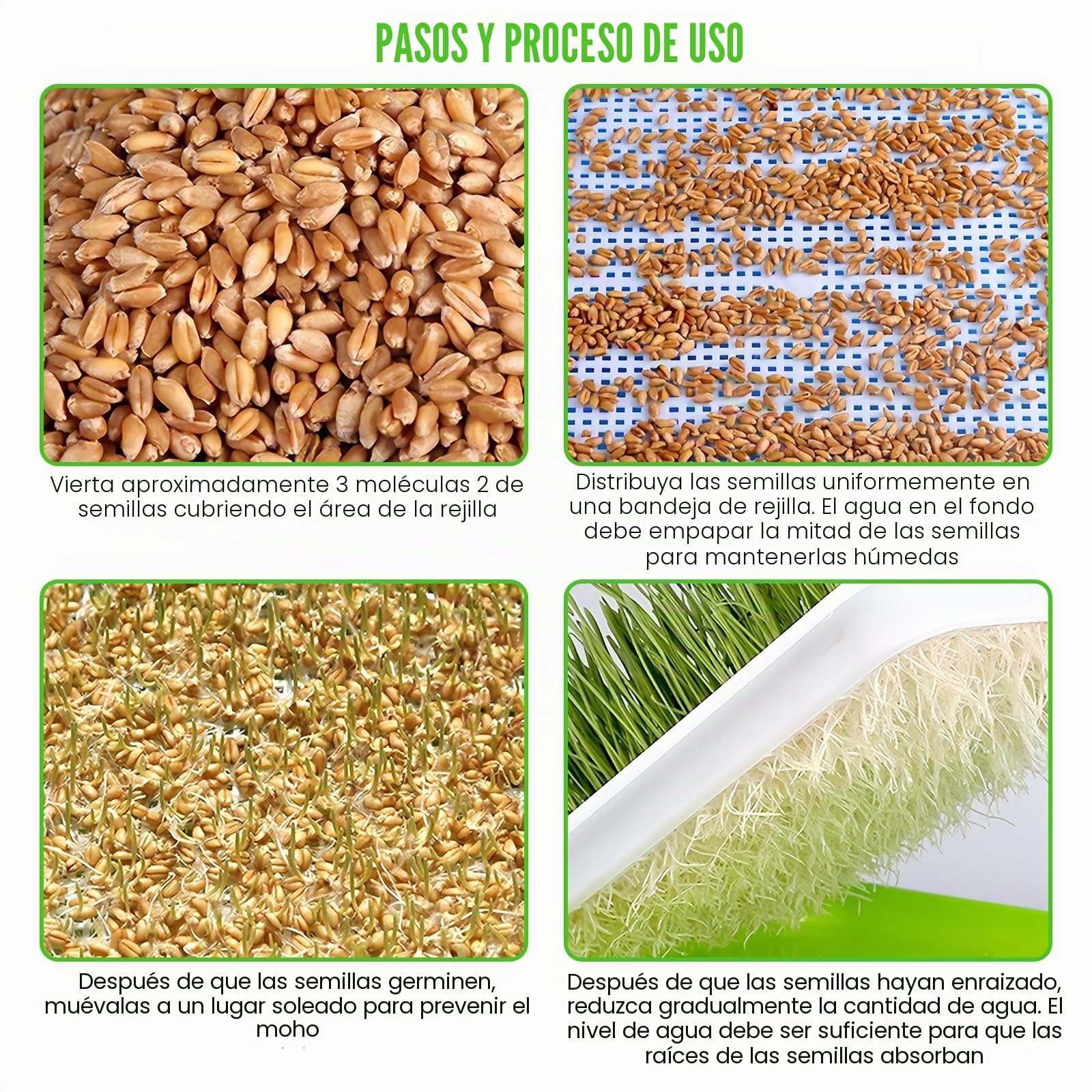 5 bandejas para brotes, juego de cultivo de brotes, berros, recipiente para germinar pasto de trigo, bandeja de germinación, para el cultivo de frijoles mungo alfalfa y hierba de trigo, 32,5 x 23,5 x