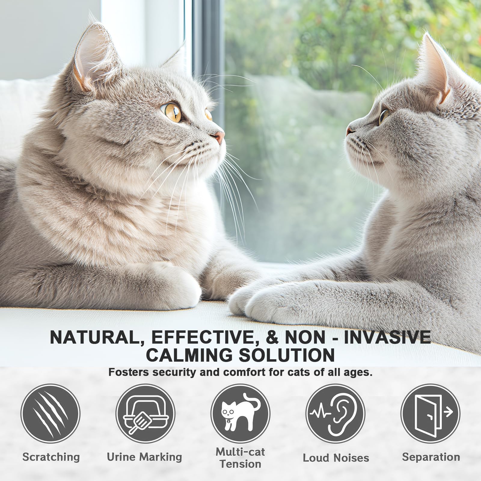 Diffusore Rilassante Gatto,Soluzione Feromone Presa con 2 Ricariche - Sollievo Stress Gatti, Riduce Graffi & Minzione Inappropriata, Copertura Continua 30 Giorni