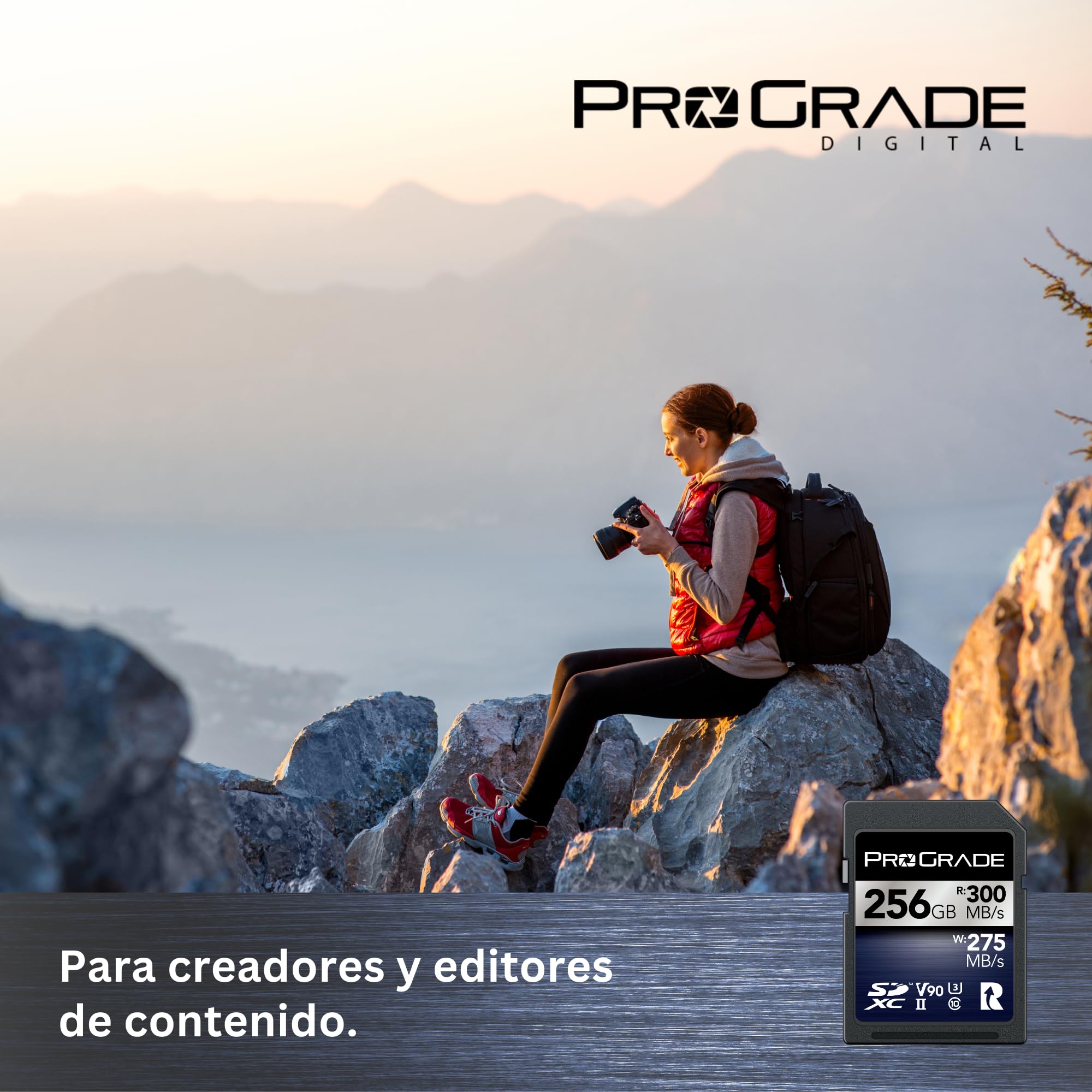 Tarjeta de Memoria ProGrade Digital SDXC UHS-II V90 Iridium (256GB)