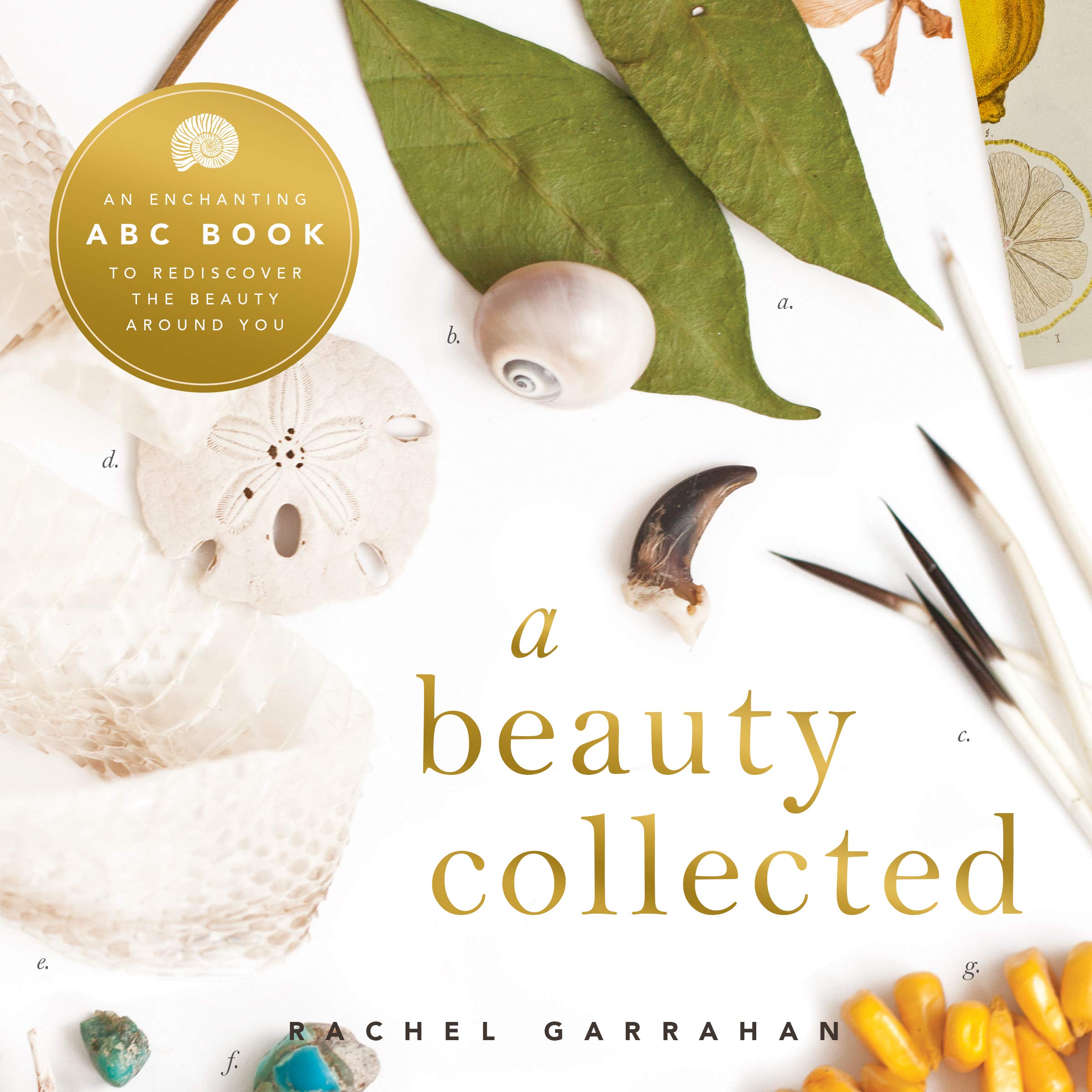 Livre ABC A Beauty Collected pour s'émerveiller des petites choses