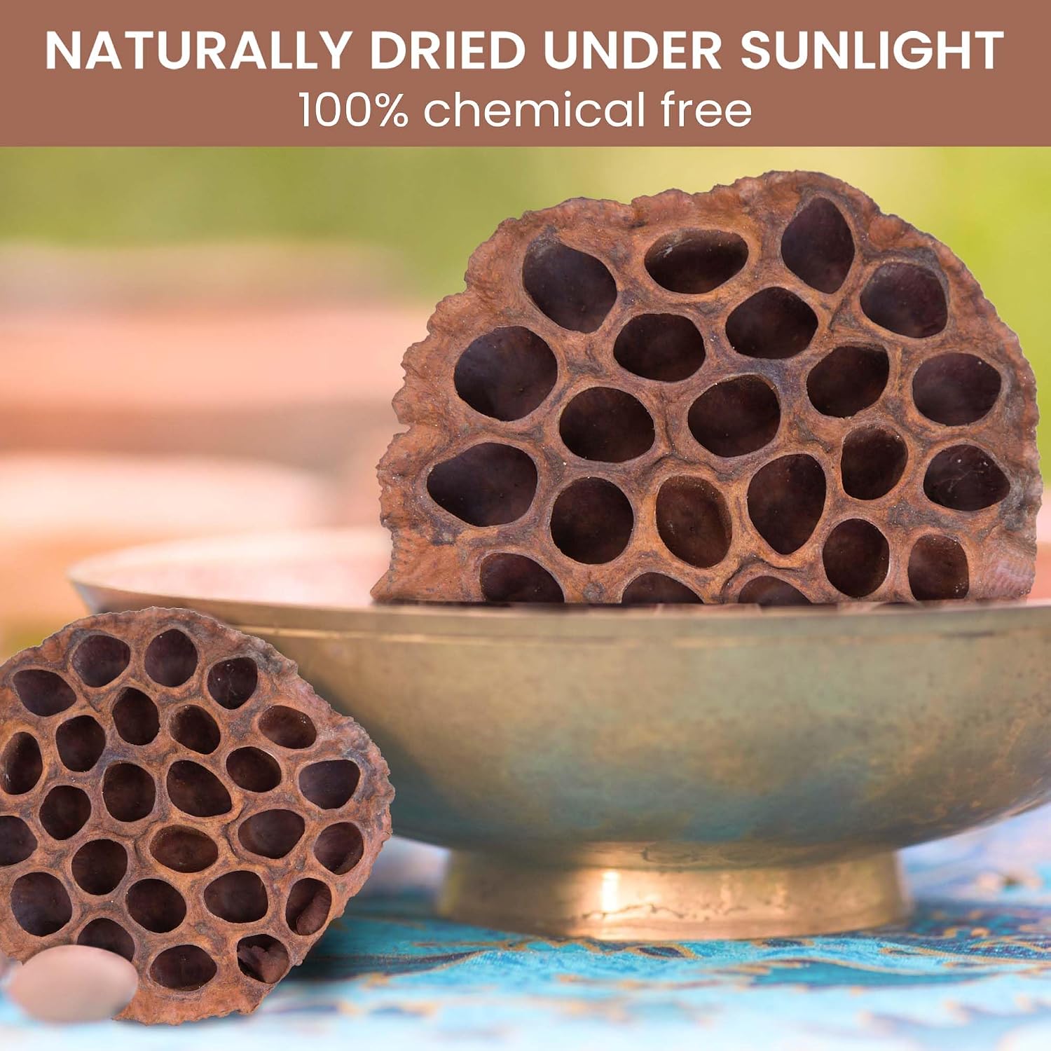Dried Lotus Pods Pack of 25 Pods for Floral Arrangement and Home Decor,Natural Seed Heads for Vase Fillers, Dried Flower Centerpieces