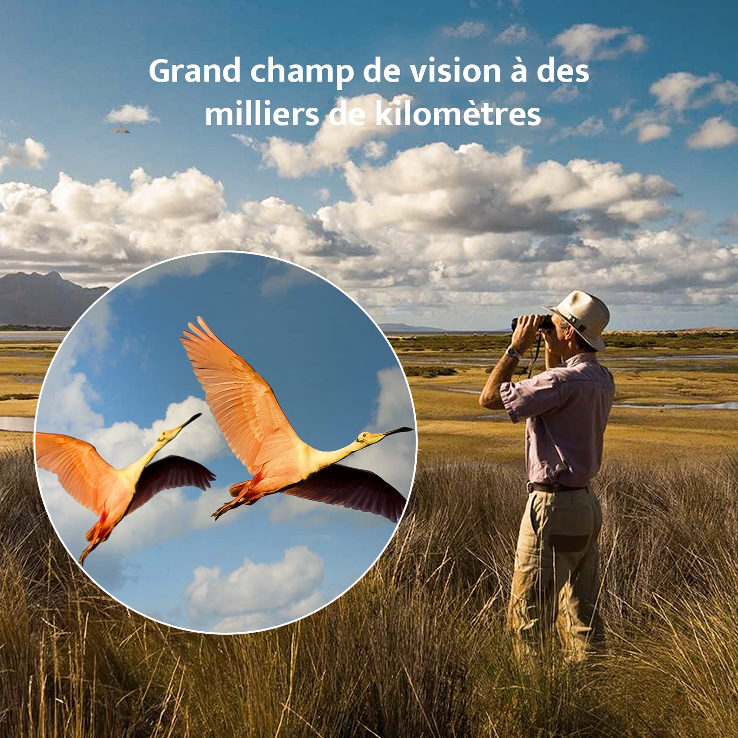 Usogood Jumelles compactes HD 10x42 prismes BAK4 FMC étanches observation oiseaux randonnée avec adaptateur téléphonique