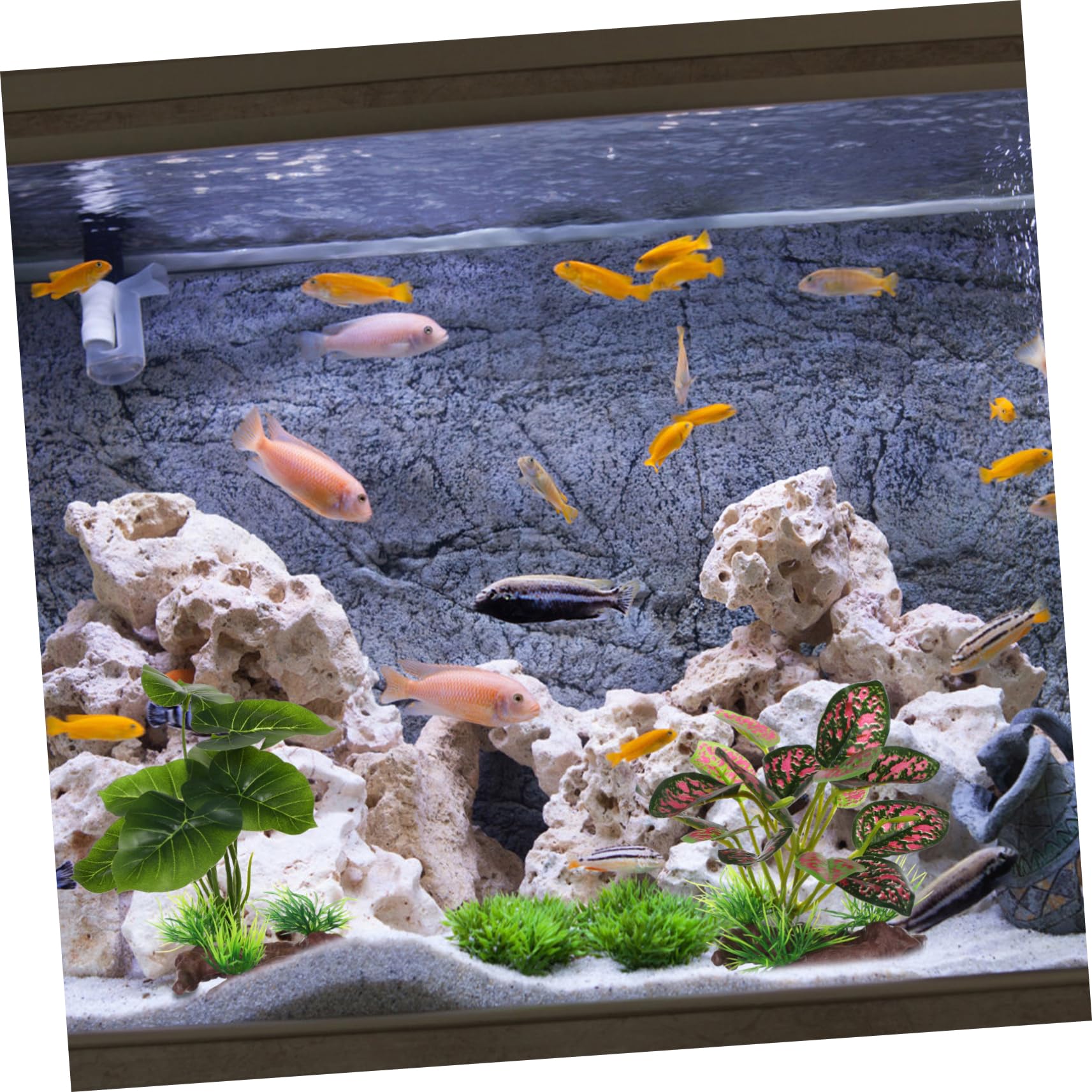 Yardwe 8stücke Künstliche Pflanzen Für Aquarien Aus Hochwertigen Täuschend Echten Wasserpflanzen Zur Dekoration Von Fischbecken Langlebig Und Fischfreundlich