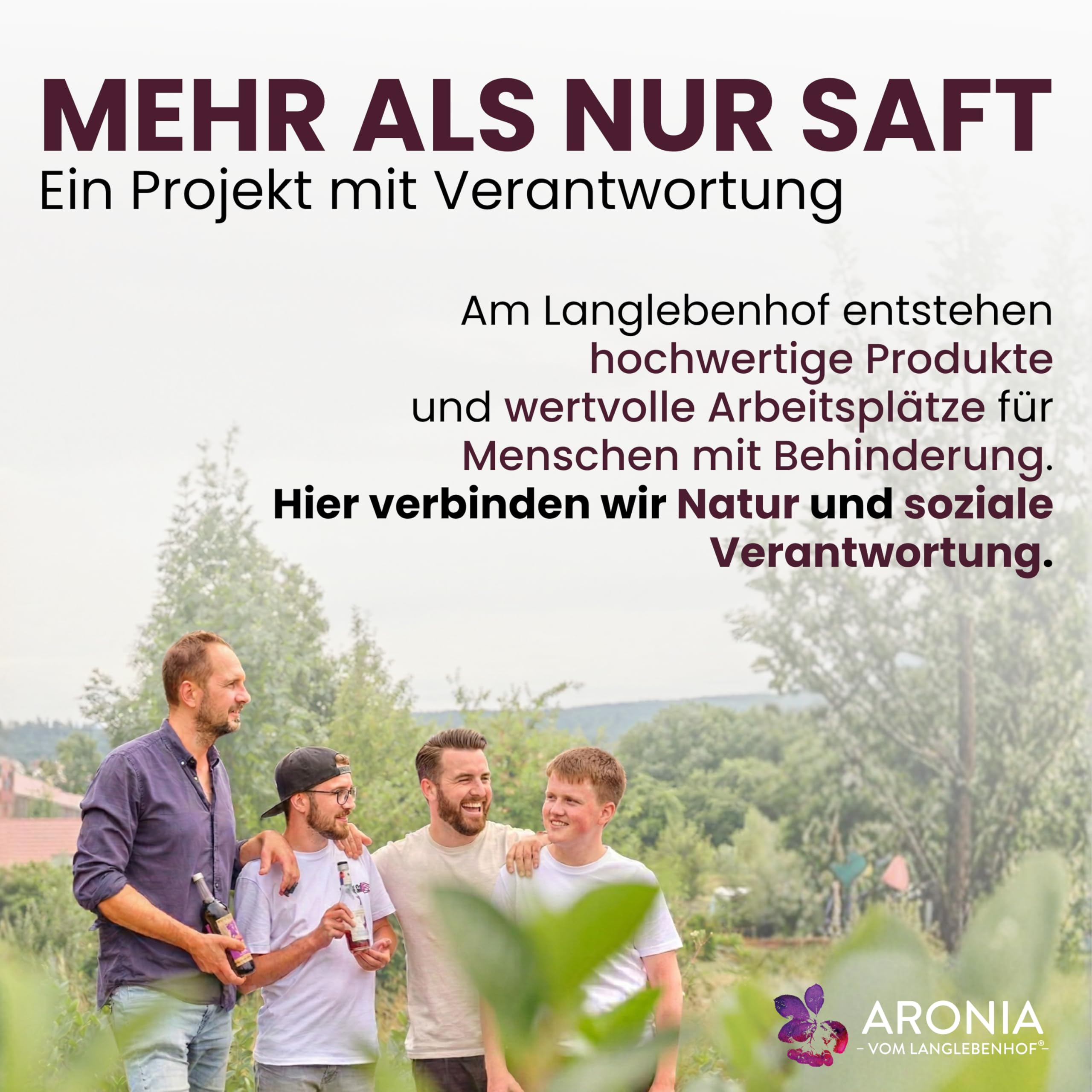 anglebenhof Aronia Direktsaft, Muttersaft, [100% Demeter und Bio] 3 Liter Box, Der Milde" Aroniasaft für Ernährungsbewusste, Aroniasaft aus Deutschland, Aronia Beeren Saft-sehr lange haltbar (2 x 3 L)
