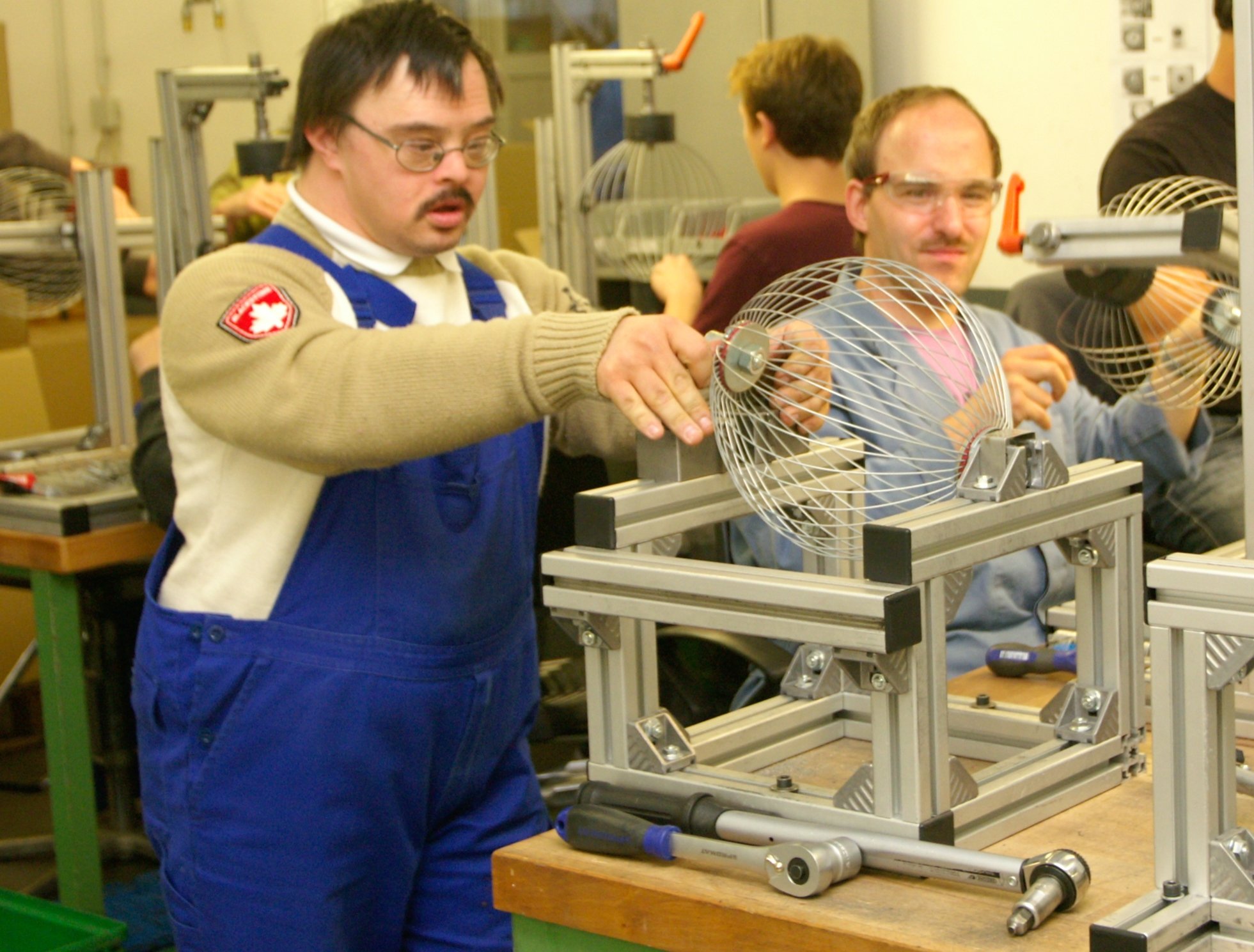 Haselnuss-Sammler - mit Teleskopstab - der Roll-Blitz - die kleinste Obstaufsammelmaschine der Welt direkt vom Hersteller für Haselnüsse, Oliven uvm (silber small)