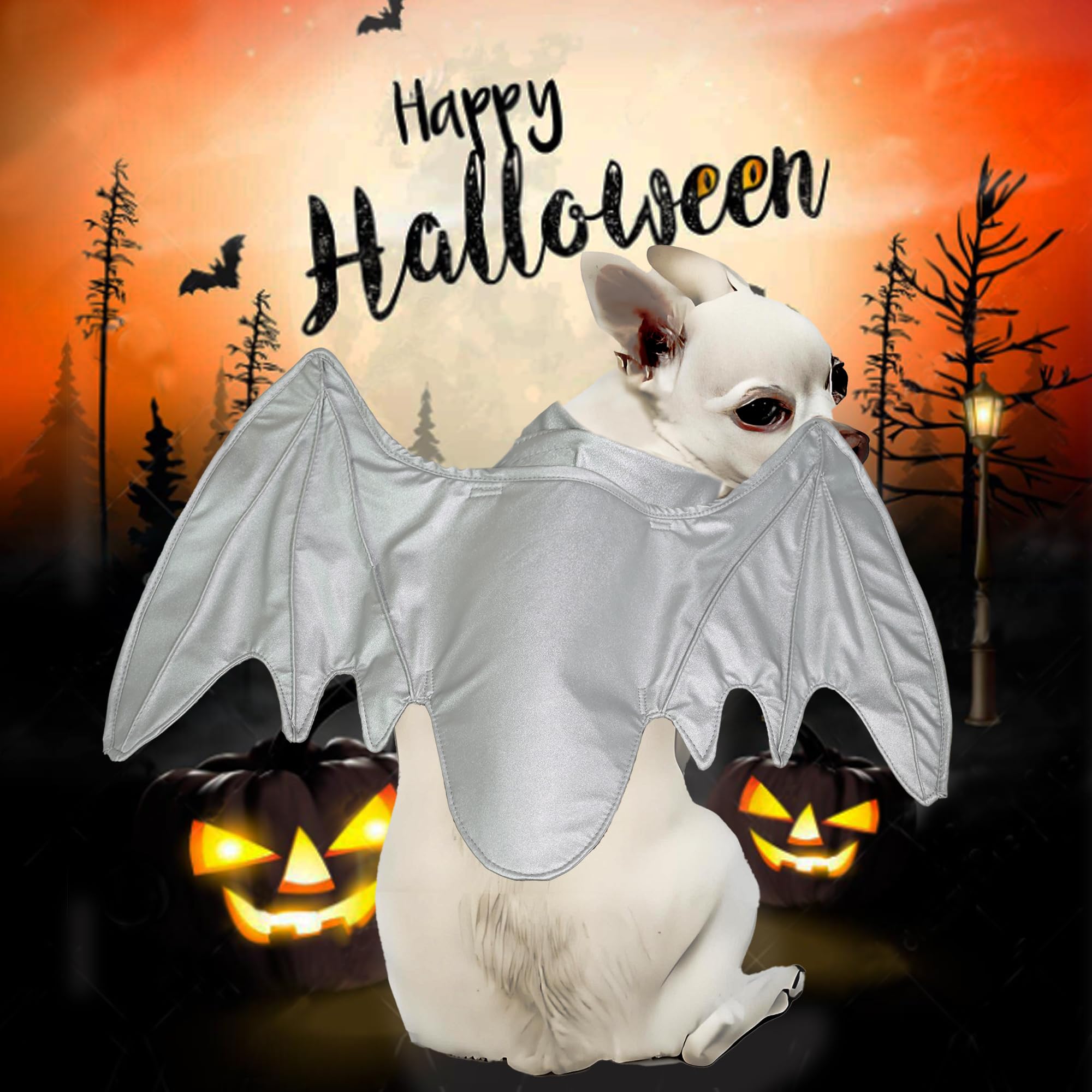 Funny Bat Wing Costumes for Dog Cute Furry Pet Clothing for Halloween (Silver dragon wing, Size M), Medium - Image 2