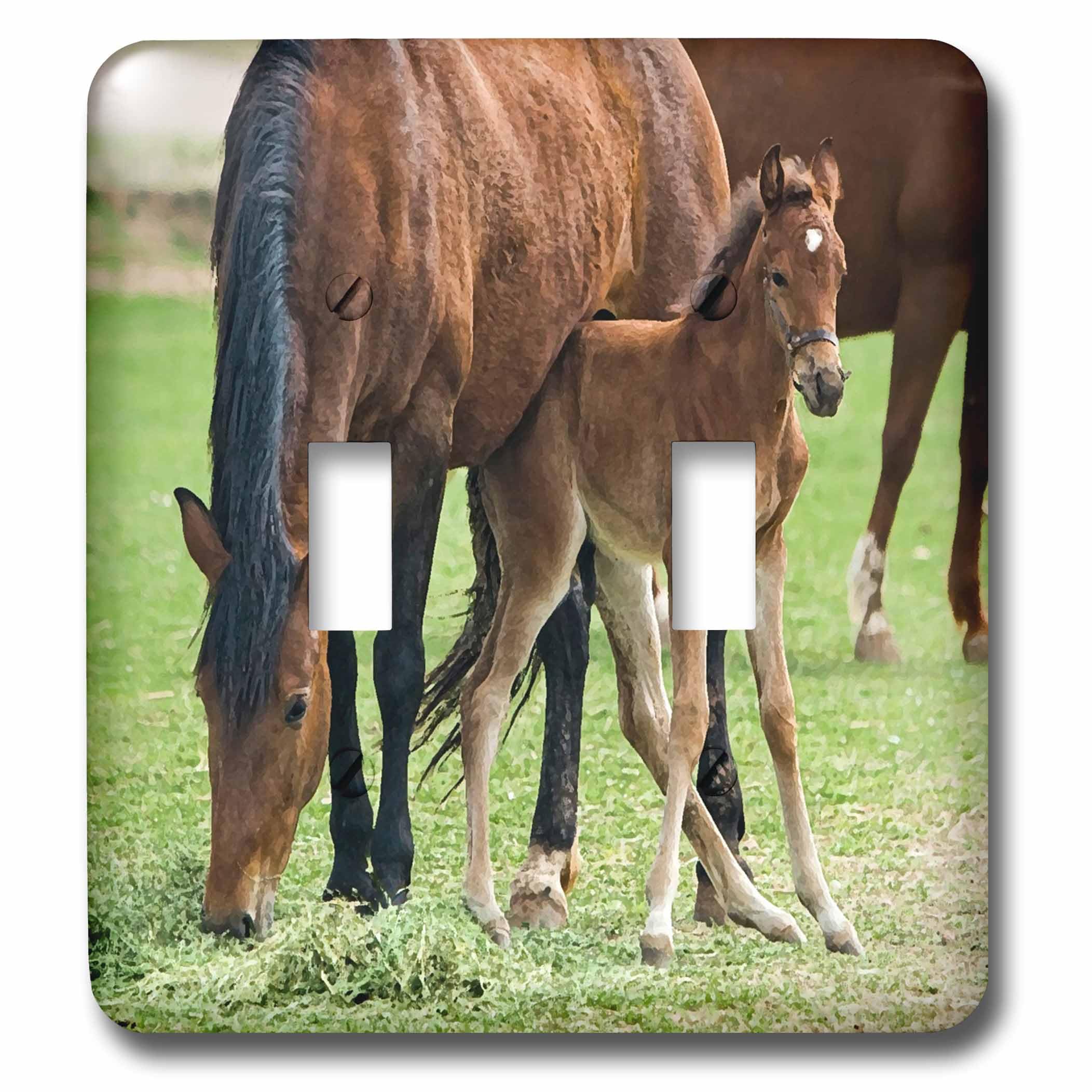Interruptor doble decorativo de yegua pintura caballo para pared