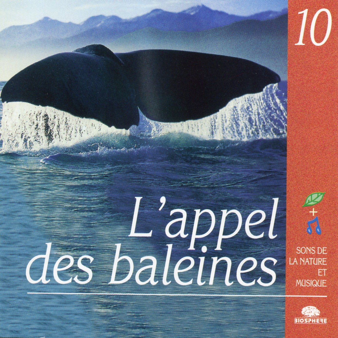 L'Appel Des Baleines Collectif