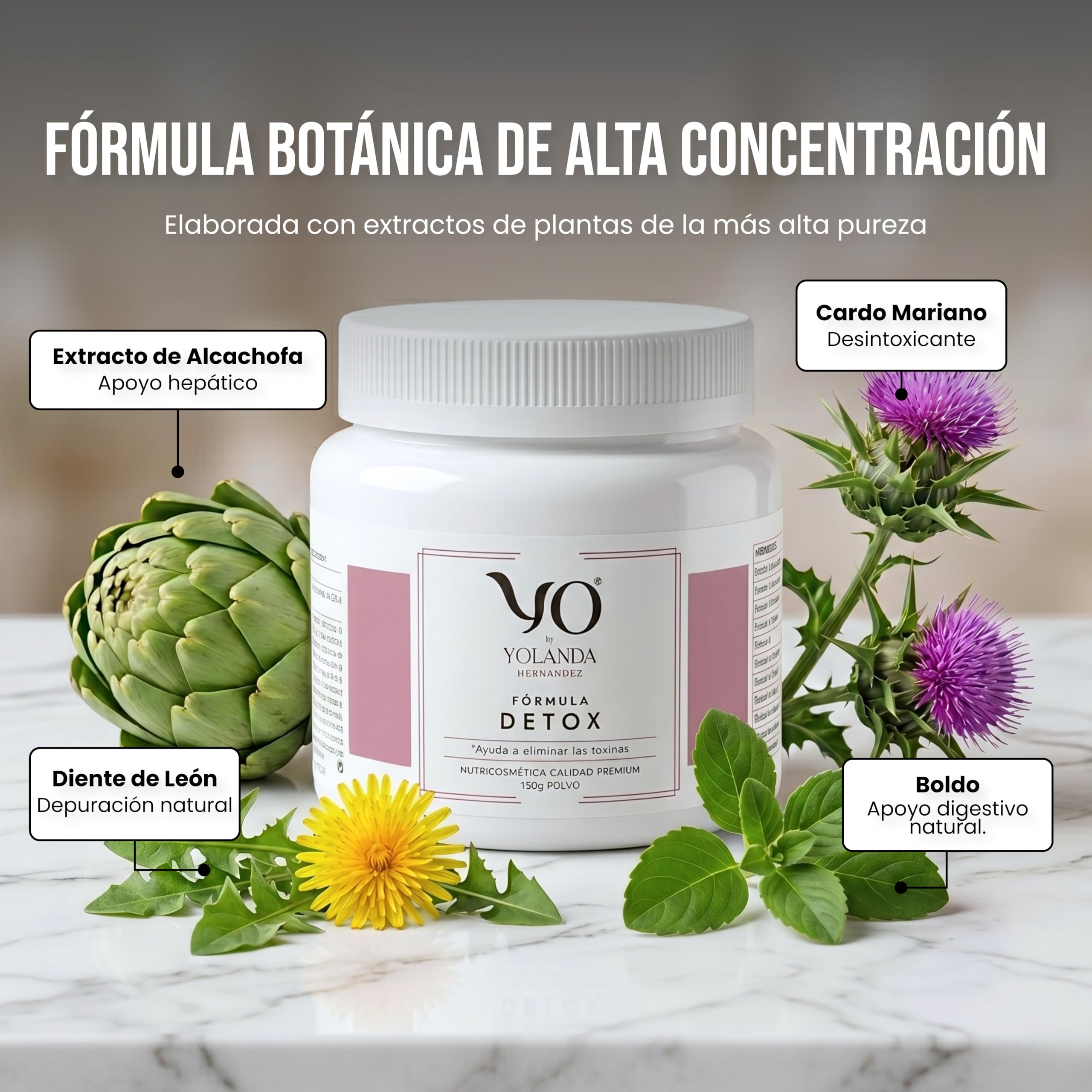 YO Fórmula Détox | Bebida Drenante en Polvo | Depuración y Quema Grasa | Extracto de Higo Chumbo y Alcachofa con Vitamina C | Sabor agradable 150 Gramos (Fórmula Detox)