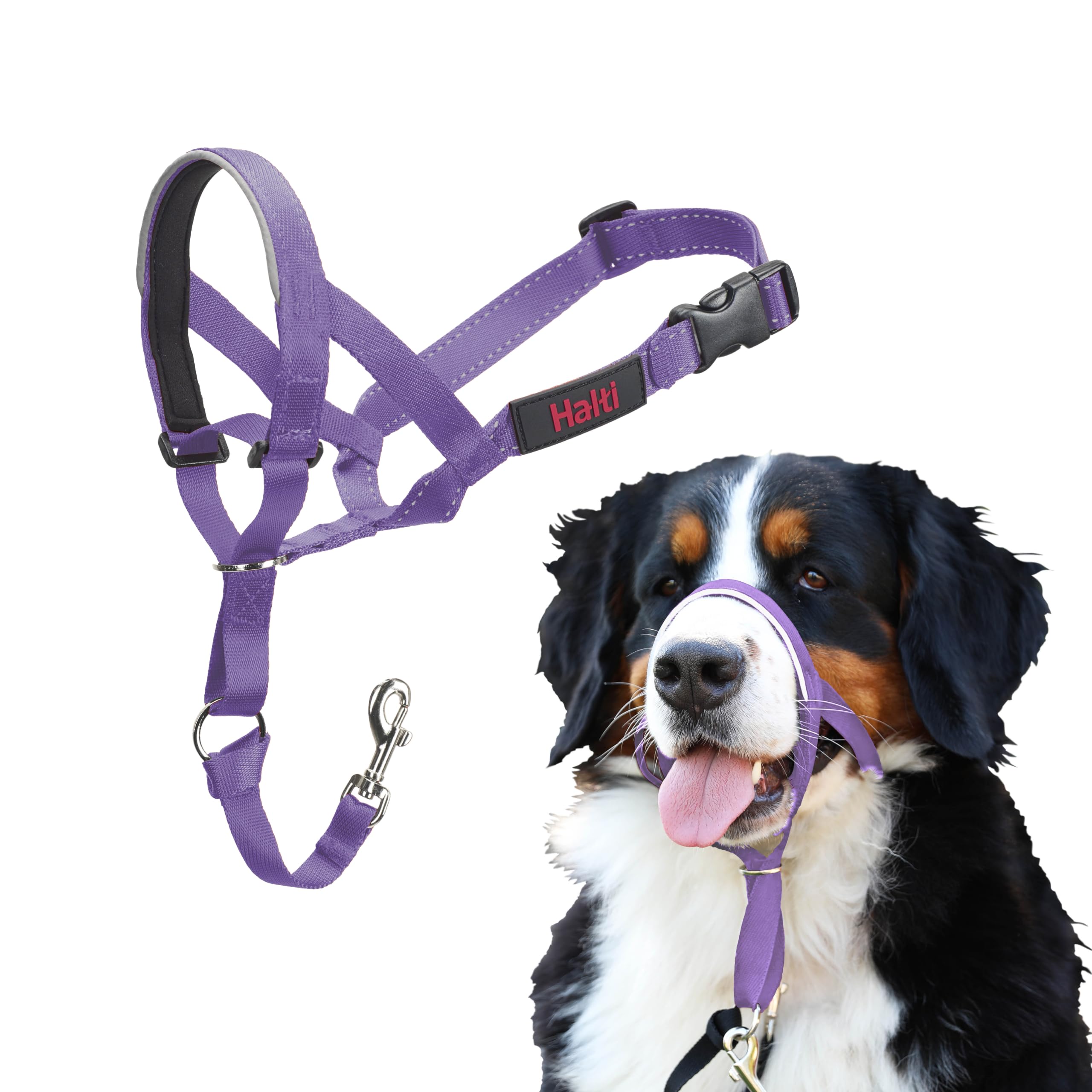 Halti Headcollar for Dogs (Size 4, Purple)
