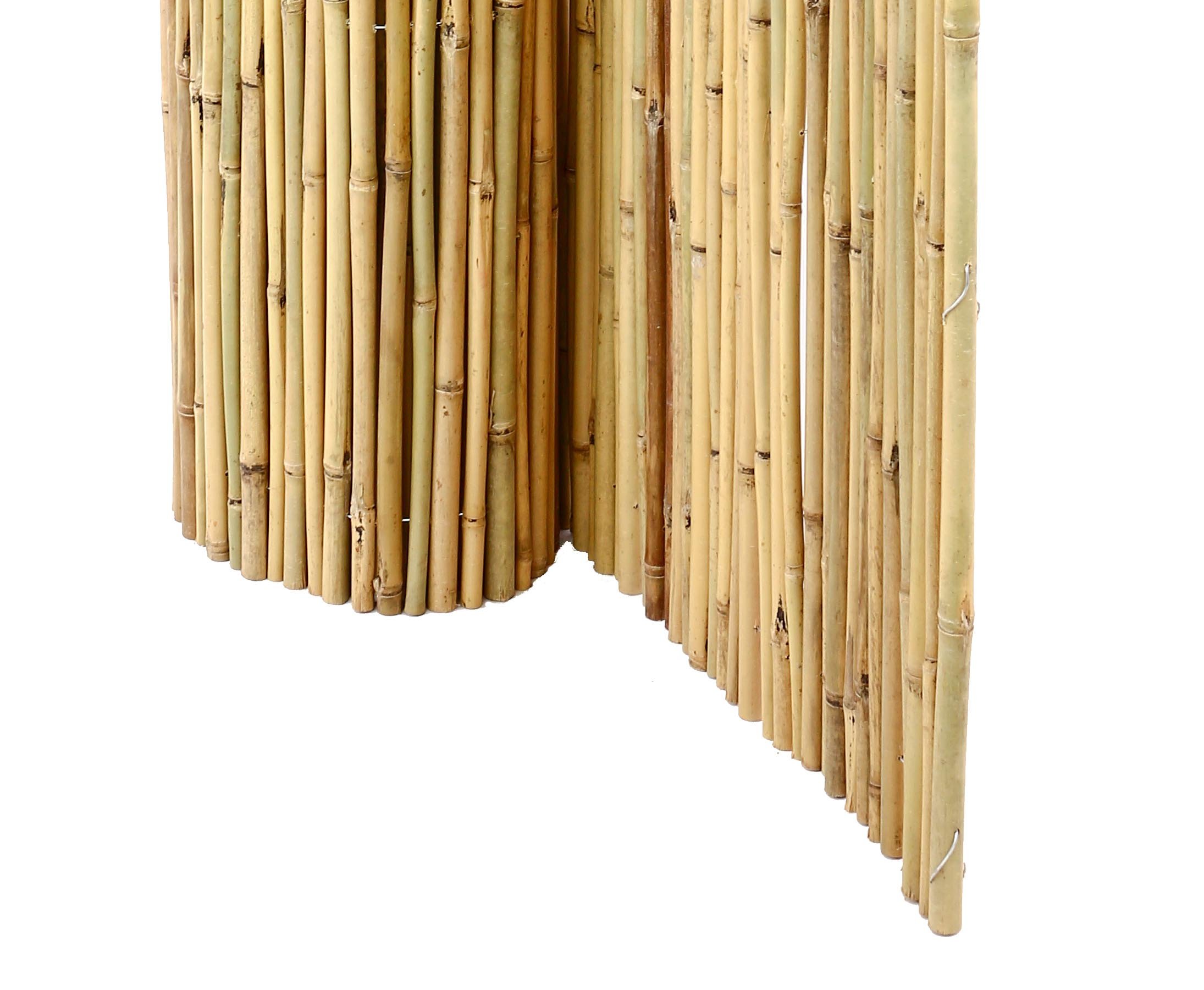 Bambusmatte Bali extrem stabil 150 x 300 cm aus Bambusrohren mit Draht  durchbohrt und verbunden - Bambus Sichtschutzmatte 1,5m x 3m : Amazon.de:  Garten