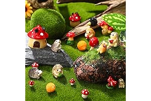 Woanger Outdoor Fairy Garden Terrarium Figurines
