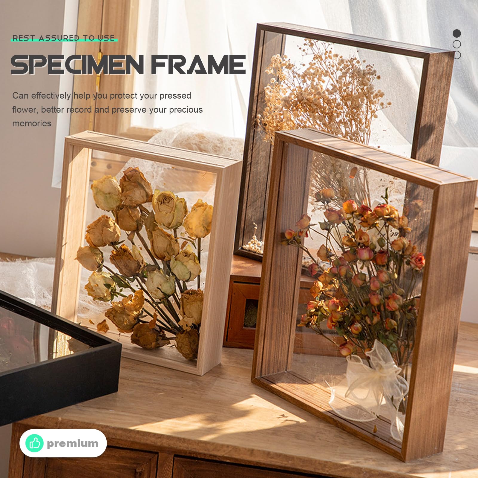 Amazon.com - Zerodeko Dried Flower Display Frame Specimen Box for