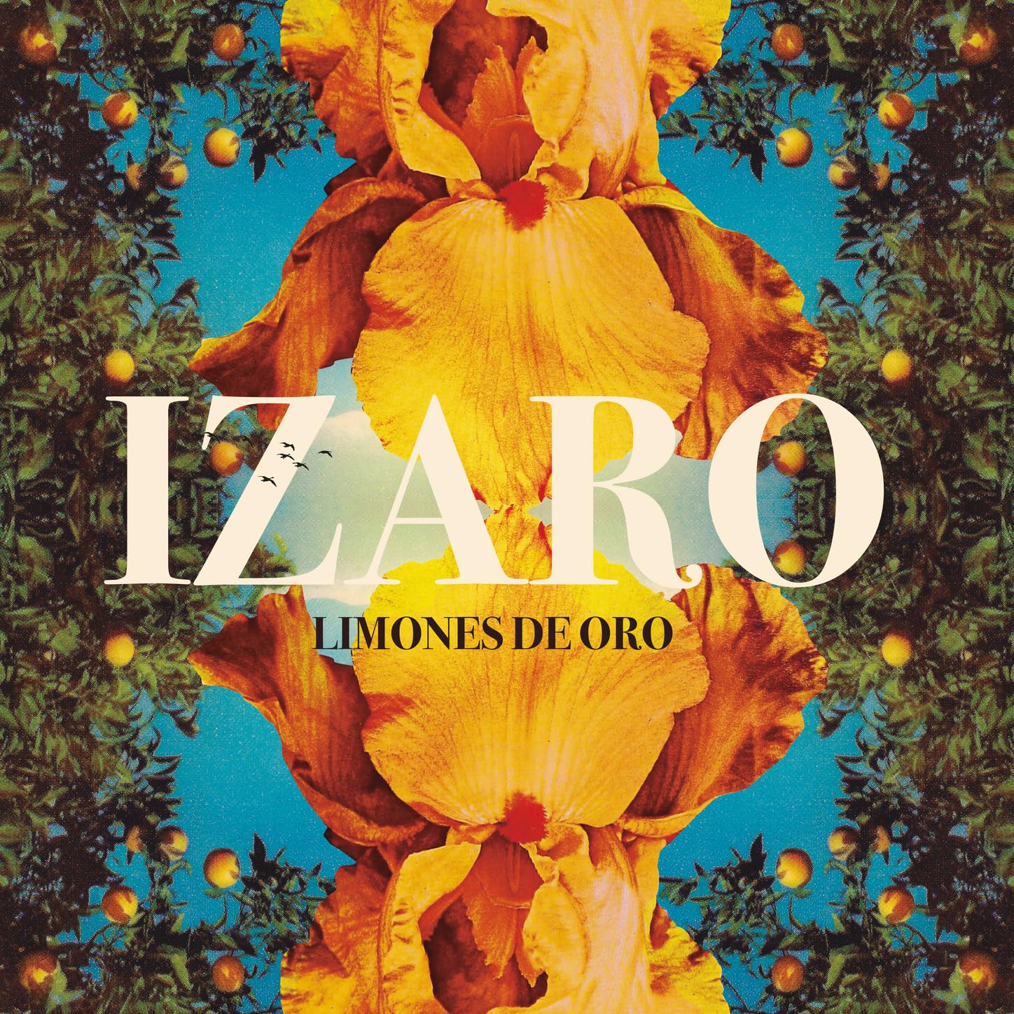 IZARO