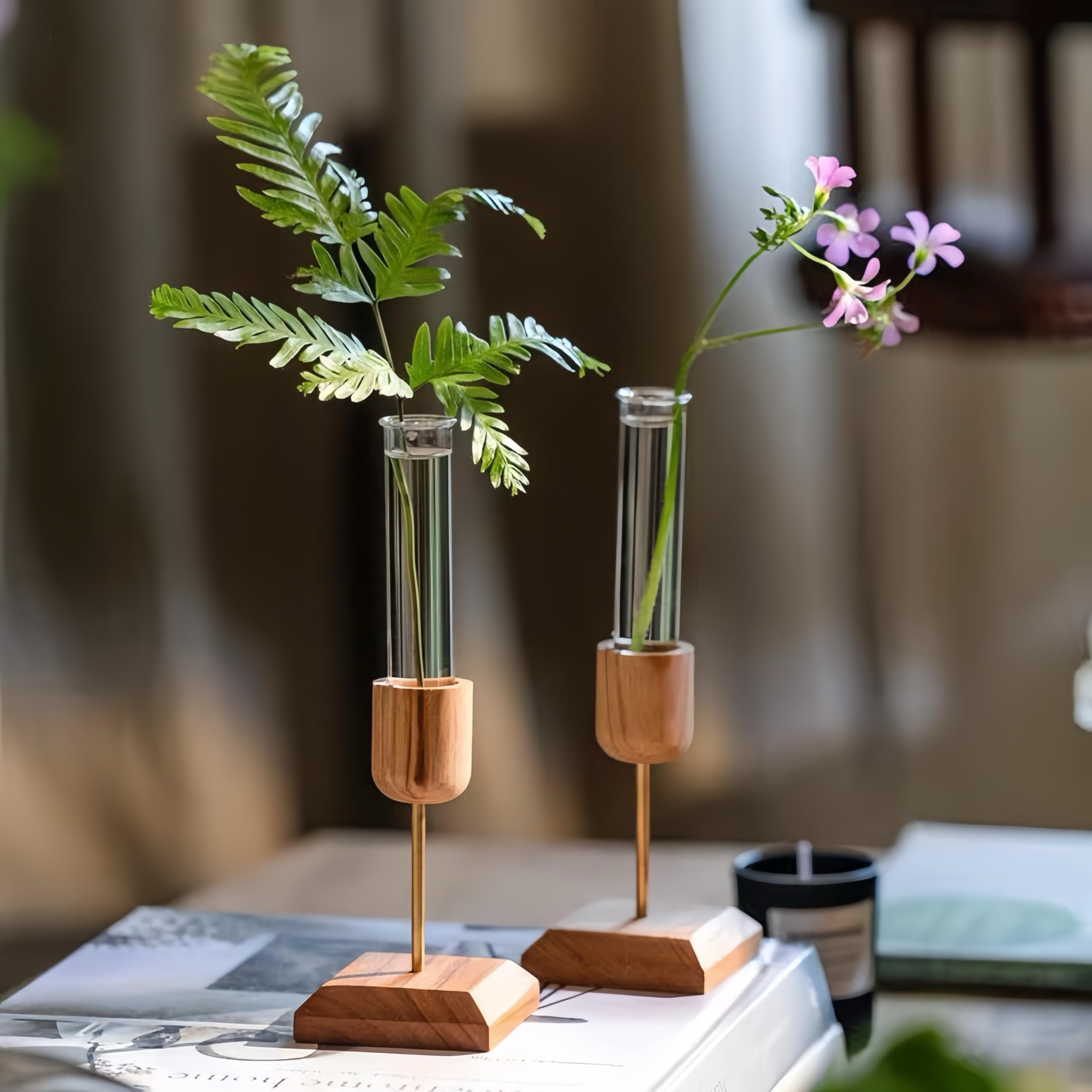 2 Stück Pflanzen-Anzuchtstation, Desktop-Reagenzglas-Vase, geeignet für Hydrokulturpflanzen, Gartengeschenke für Frauen, Geburtstagsgeschenke für Pflanzenliebhaber