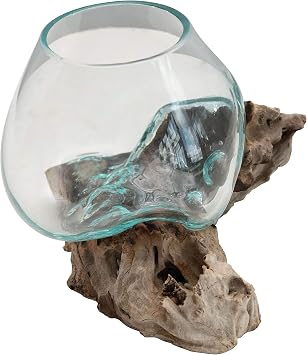 Creative Co-Op Decorative Glass Planter on Wood Base, Clear and Natural