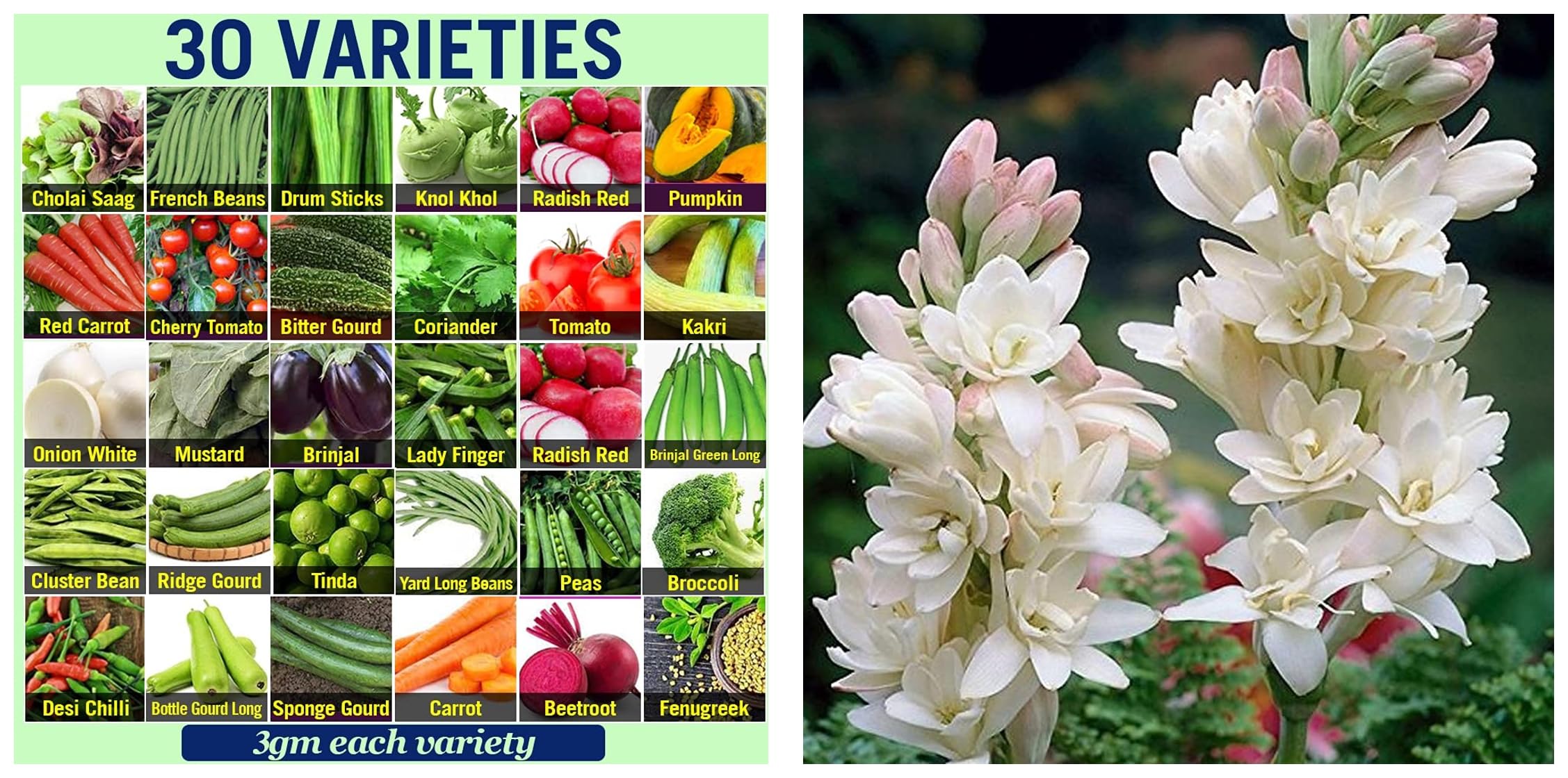 Kraft Seeds Fresh Vegetable Seeds for Home Gardening (3gm each & Kraft Seeds Rajnigandha Double Flowering Bulbs (White, 7 Bulbs) (B0CCTXY5NP) Amazon Price History, Amazon Price Tracker