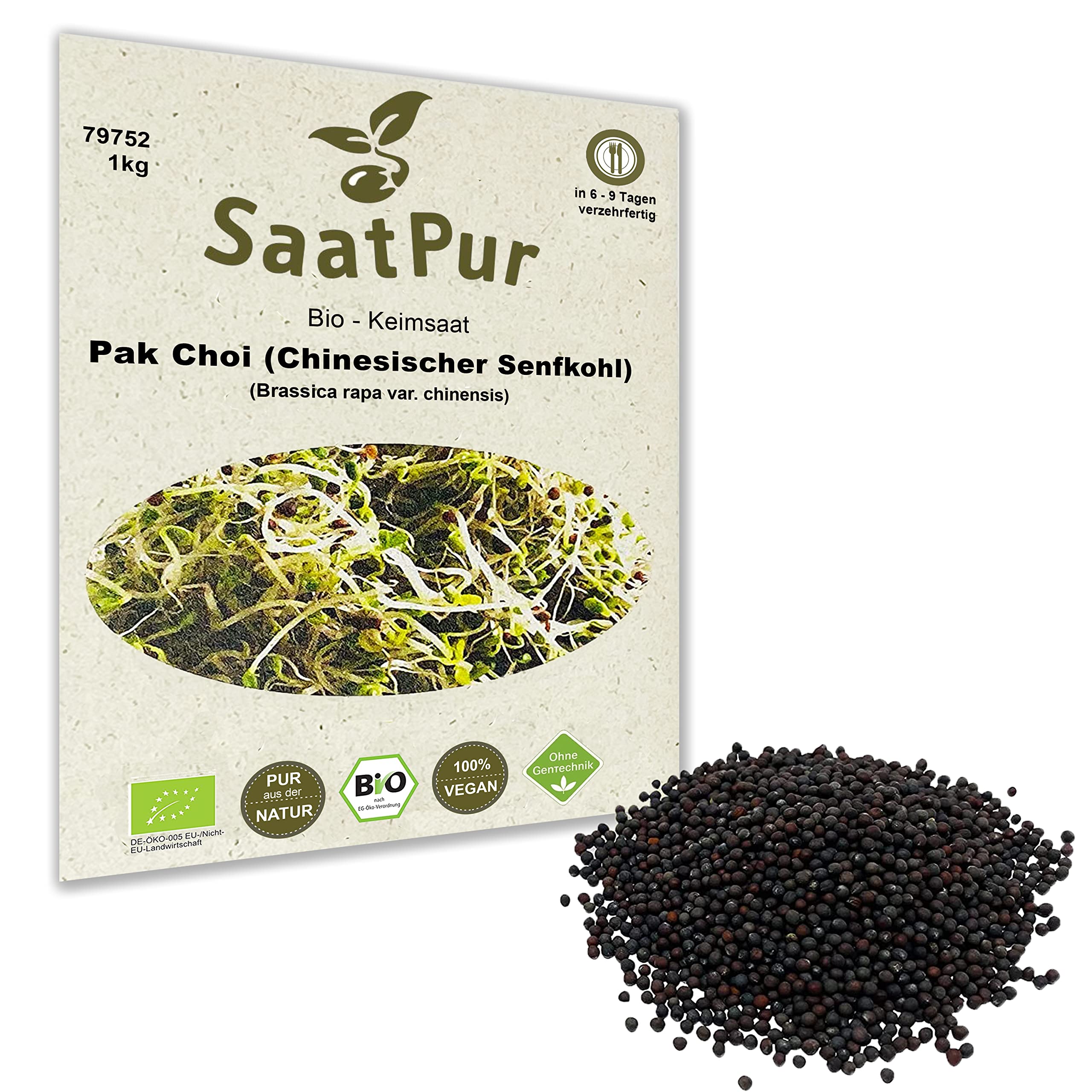 1 Kg BIO Keimsprossen Pak Choi (Chinesicher Senfkohl) Samen für die Sprossenanzucht Sprossen Microgreen Mikrogrün