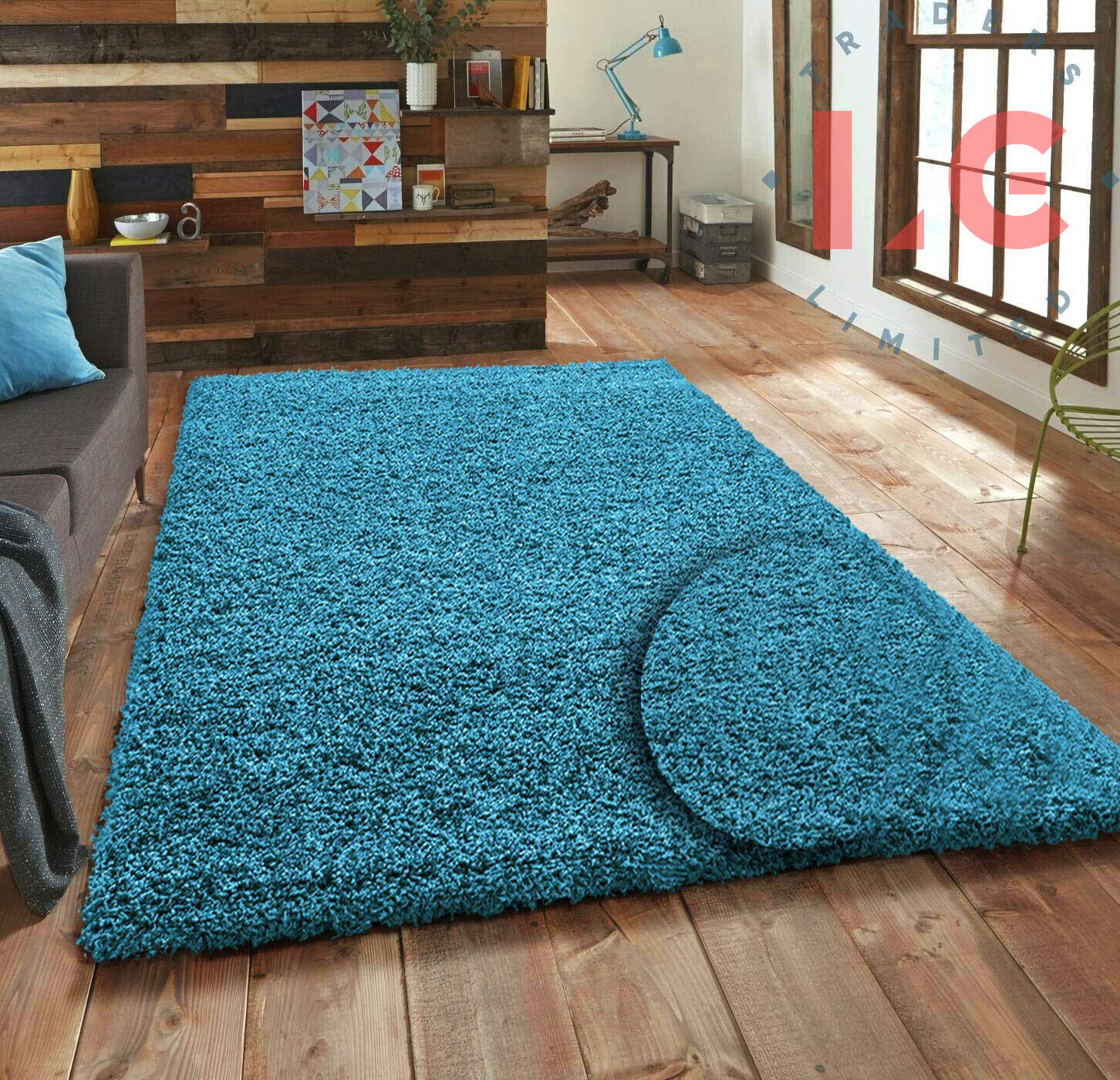 LG TRADERS LIMITED Small X Large Non Slip Shaggy Rug Carpet Soft Thick Lounge Bed Room Hallway Mess Area Rugs Teal Blue, 60 x 110 cm (2 ft x 3 ft 7 in)