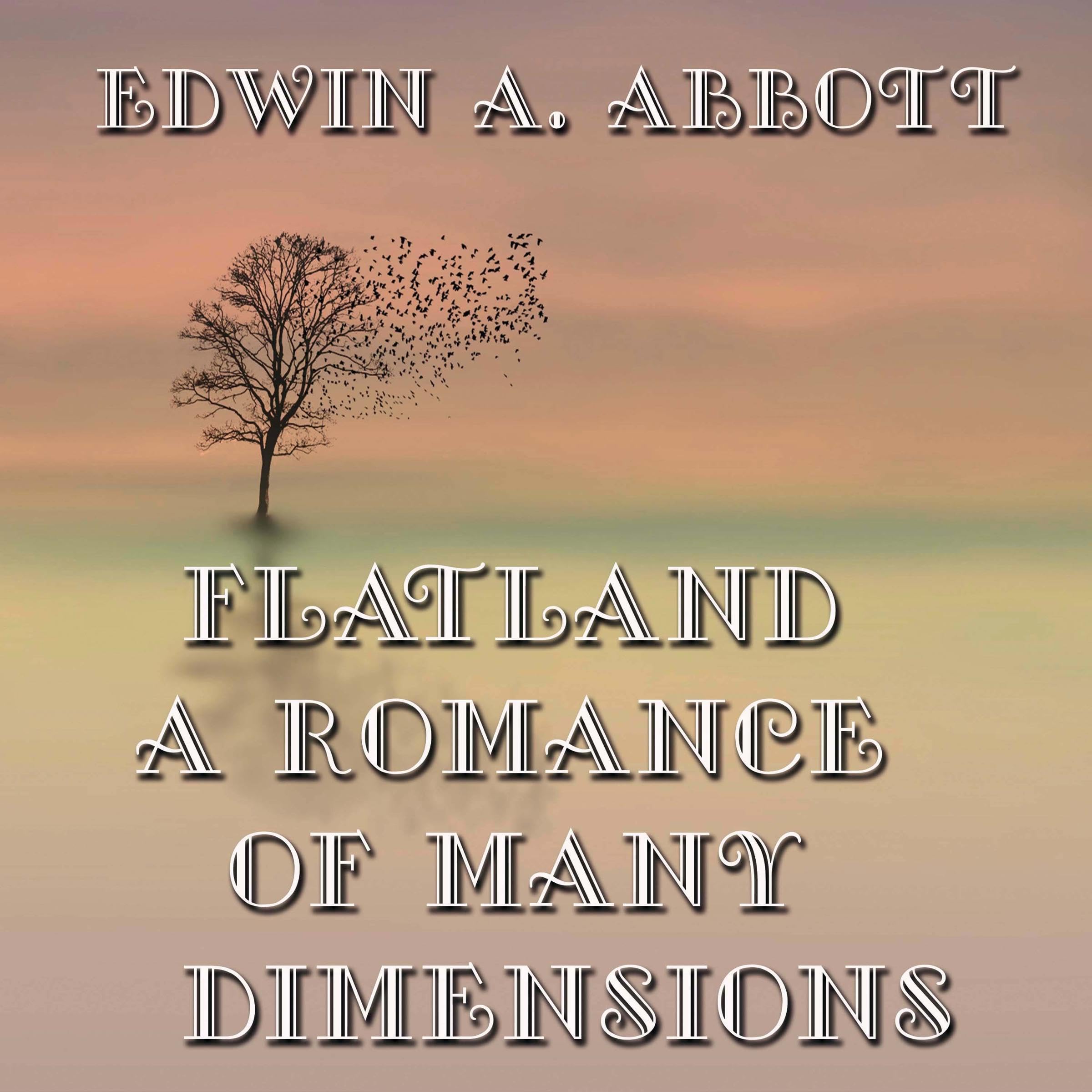 Flatland - A Romance of Many Dimensions