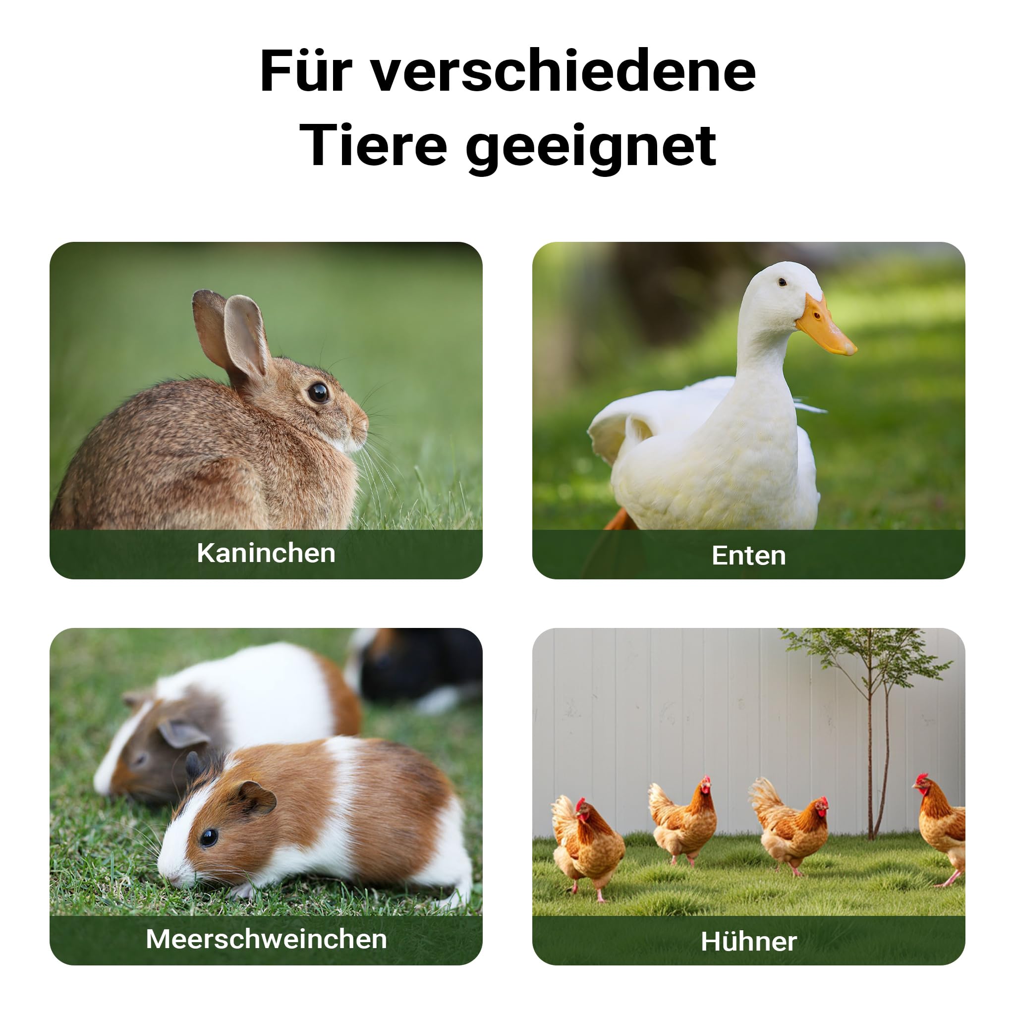 Wiltec XXL Hasenstall 2110 x 530 x 835 mm mit Freilaufgehege und erhöhtem Unterschlupf aus Kiefernholz, Kaninchenkäfig mit 2 Etagen, Kleintierstall