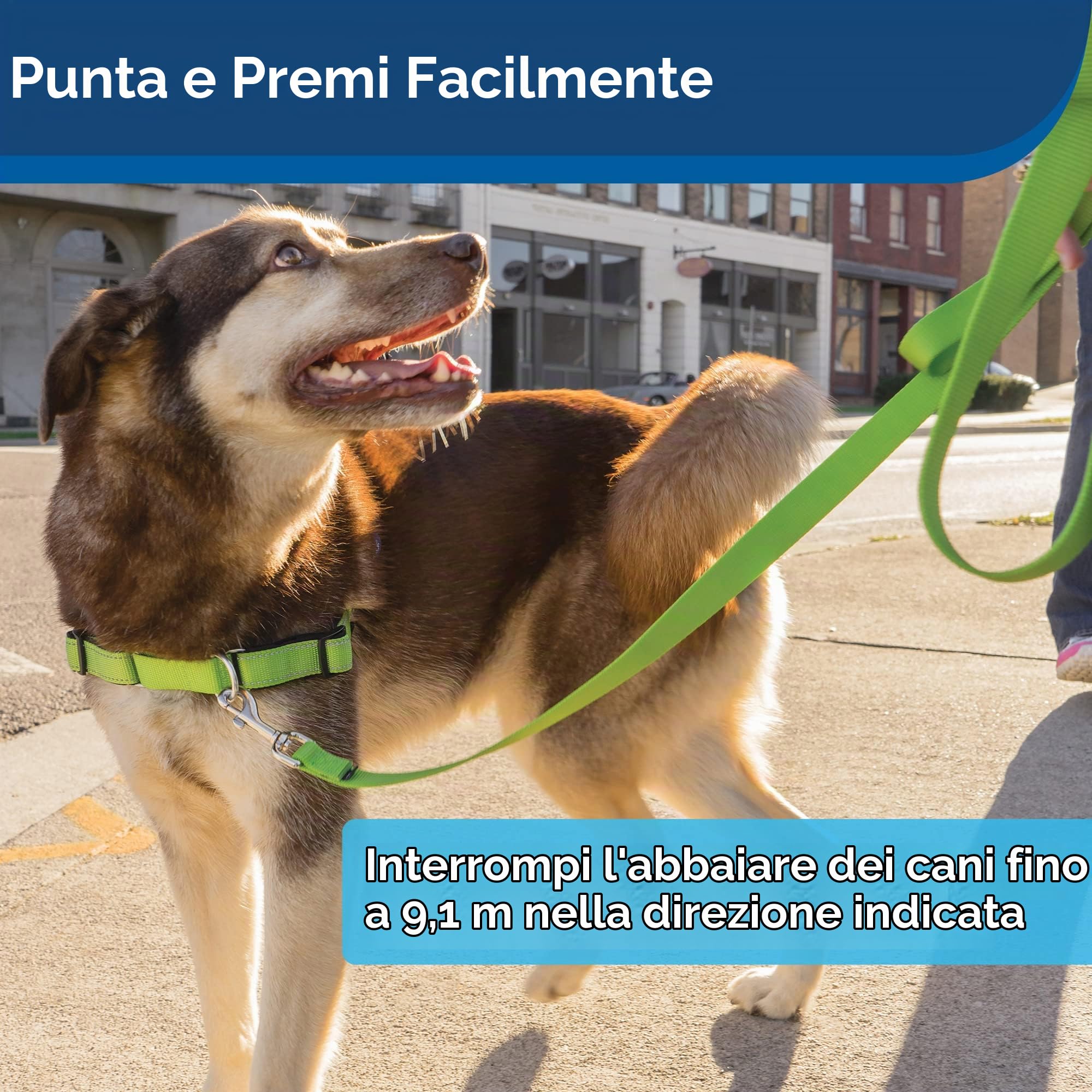PetSafe Dispositivo di Addestramento a Ultrasuoni