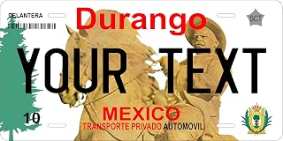 Durango 2006 Mexico Personalized Custom Novelty Tag Vehicle Car Auto Motorcycle Moped Bike Bicycle License Plate