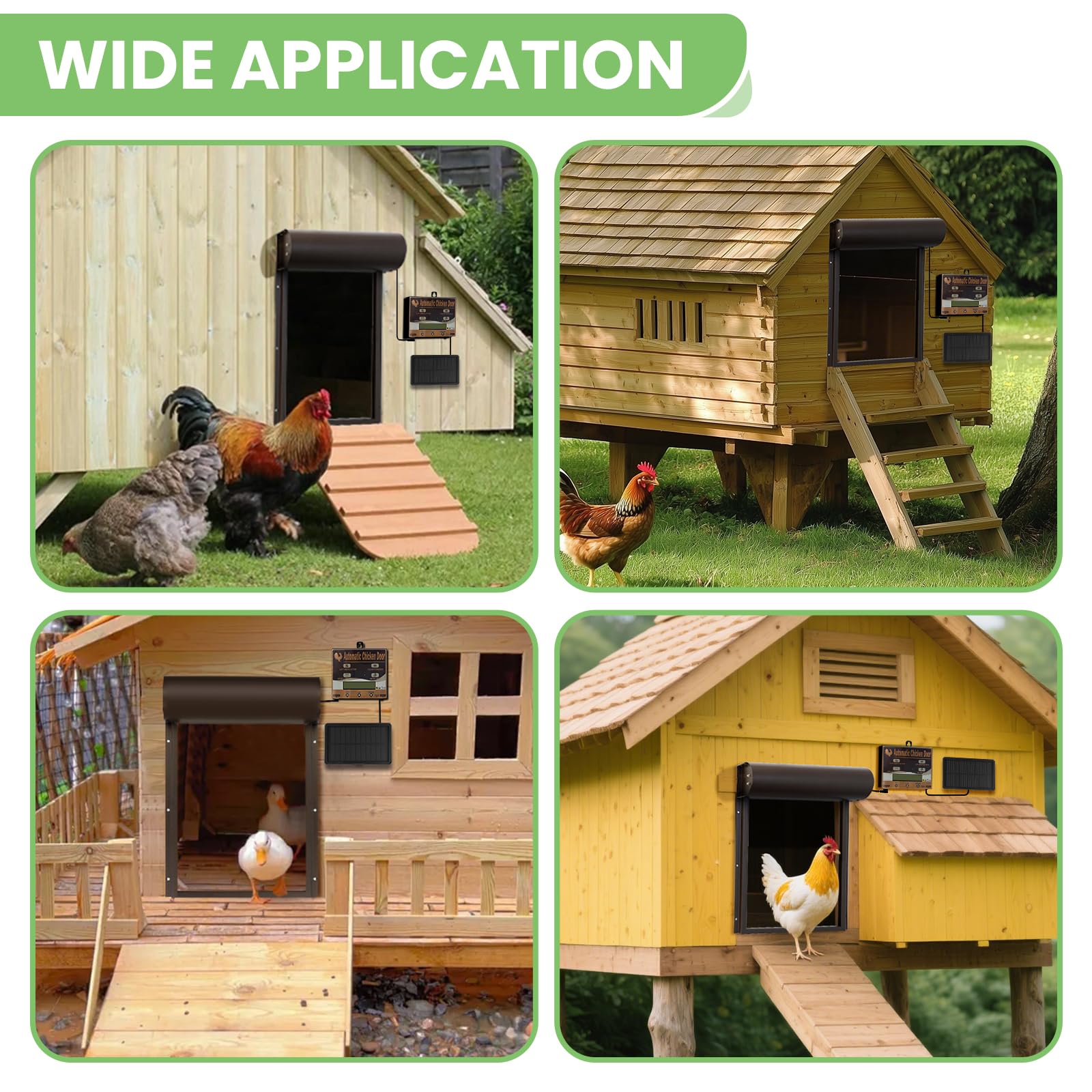Batería automática de gallina, Puerta de Pollo eléctrica automática | con temporizador, panel solar, mando a distancia, manual, protección inteligente contra pellizcos