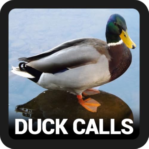 Duck Hunting Calls