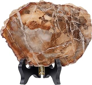 Nupuyai Natural Raw Petrified Wood Crystal Specimen on Wooden Stand, Irregular Decorative Stone Slab Display for Home Office