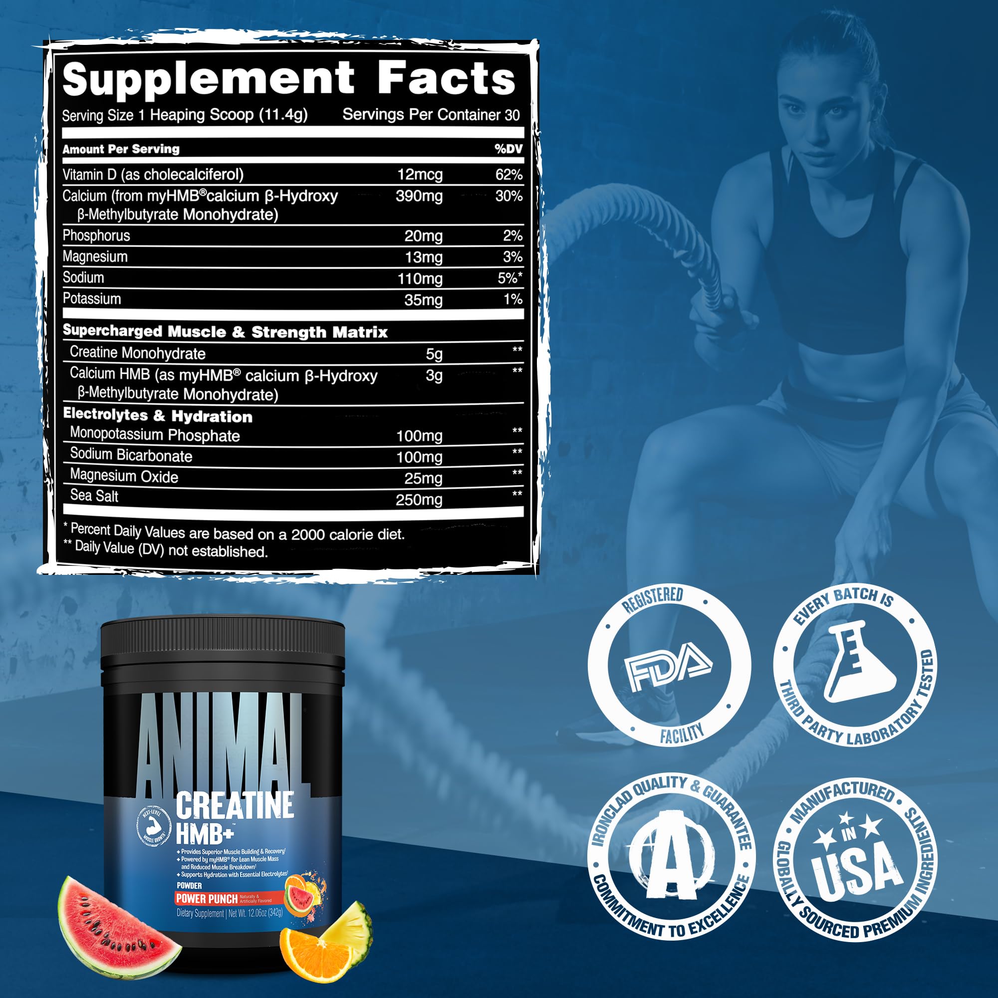 ANIMAL Creatine HMB+ - Creatina monohidrato en polvo con HMB y electrolitos - Favorece el crecimiento muscular, la regeneración y la resistencia - Power Punch, 30 porciones