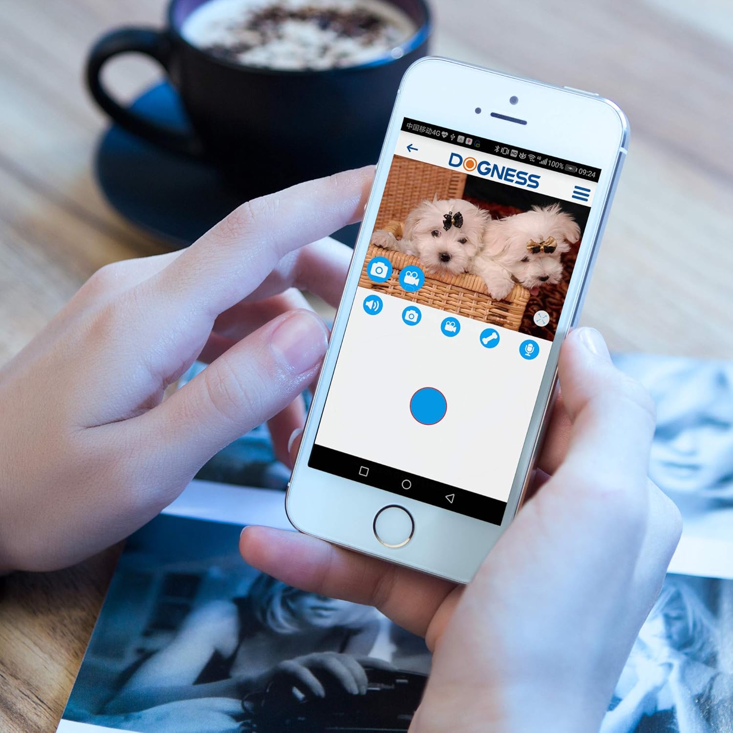 A hand holding a smartphone displaying the DOGNESS app interface. The screen shows a live video of a dog and a circular control panel with icons for 'Take a photo', 'video', 'full screen', 'say', and 'listen', surrounding a treat dispensing icon.