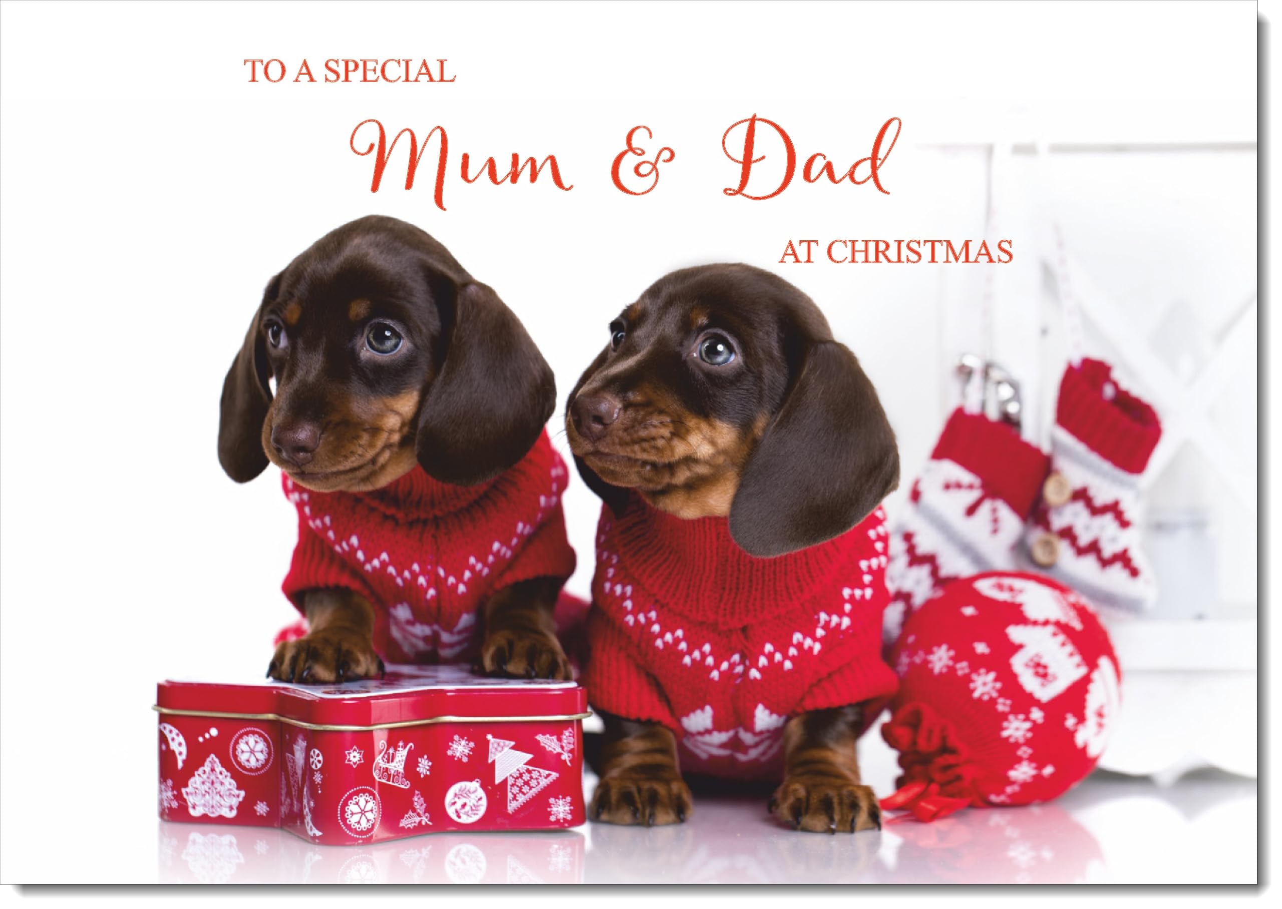 doodlecards Mum and Dad Christmas Card Two Dogs with Christmas Jumpers Large A4 Size Christmas Card for Mum & Dad with Plain Envelope