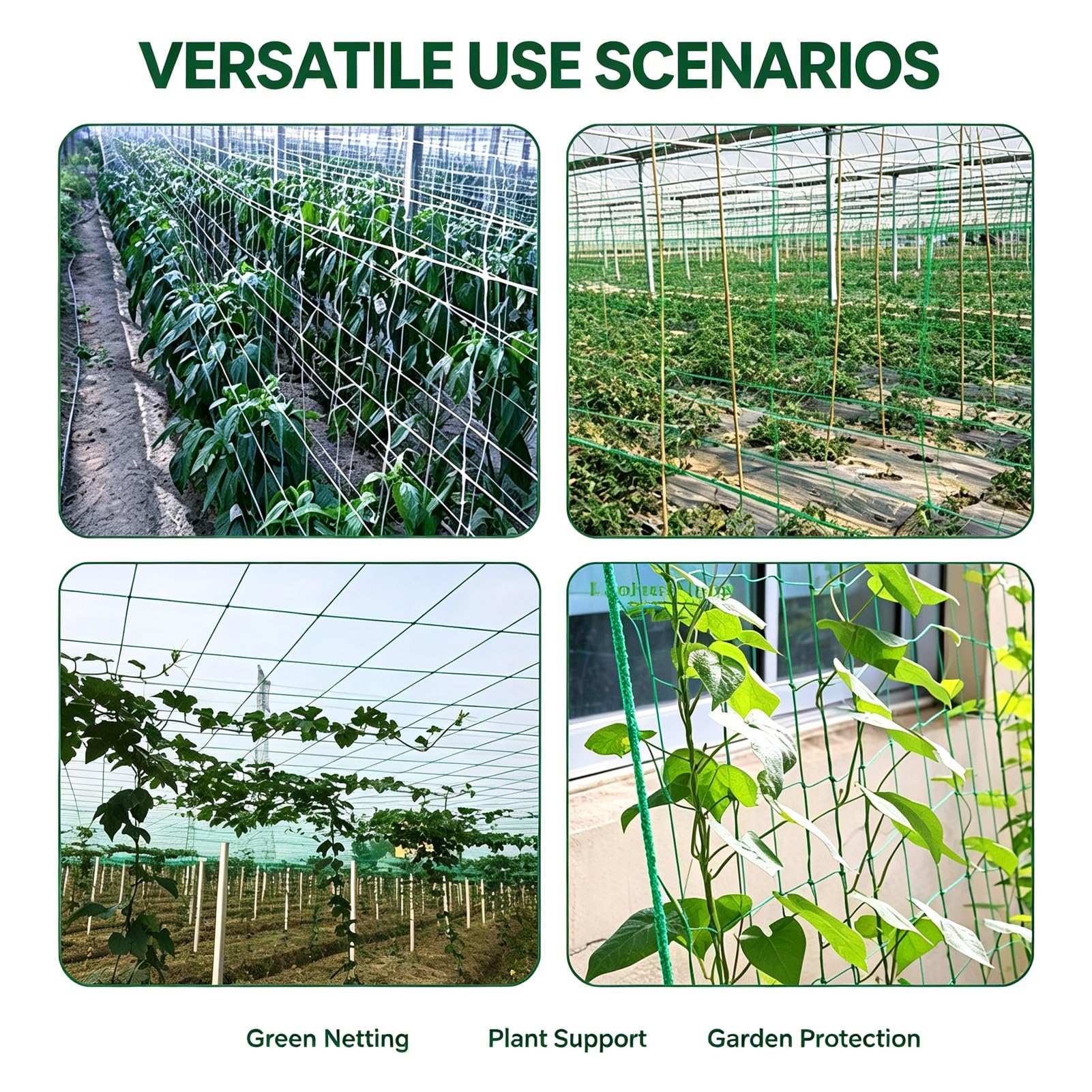 Rete Traliccio PE Piante Maglia Quadrata Resistente Crescita Giardino per