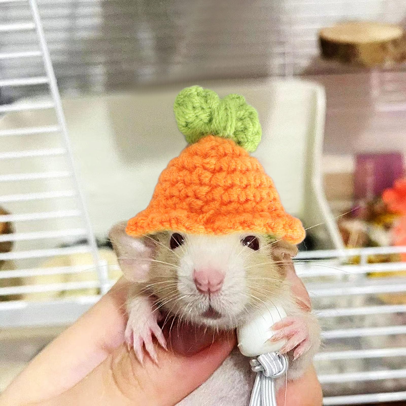 Amazon.com: Miskall Cute Hamster Hat Small Animal Knitted Hat for