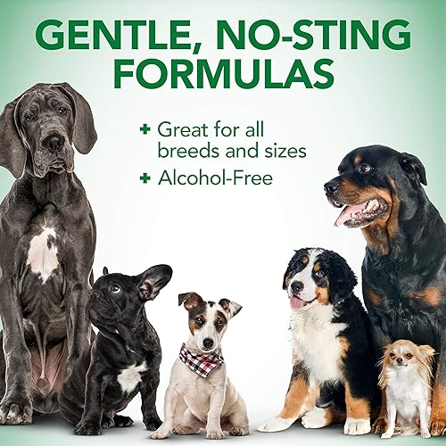 Miniatura 7 de Vet's Best Spray para aliviar la picazón de la alergia para perros | Alivia la piel seca del perro | Alivia el impulso de picazón, lamer y rascar |