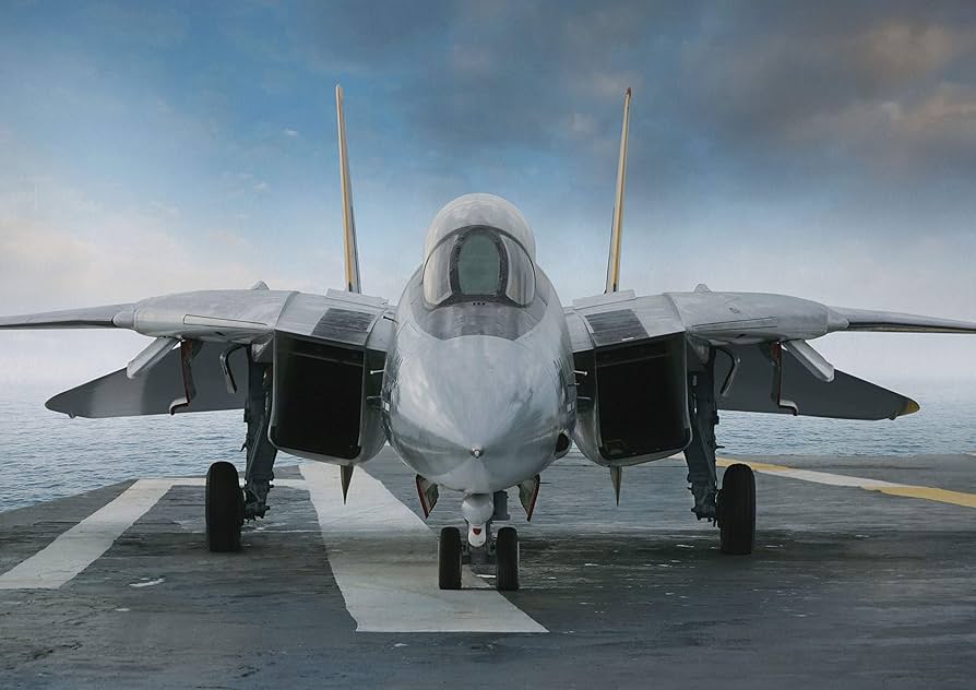 Amazon.co.jp: A1 |軍戦闘機飛行機ポスターサイズ60×90センチ